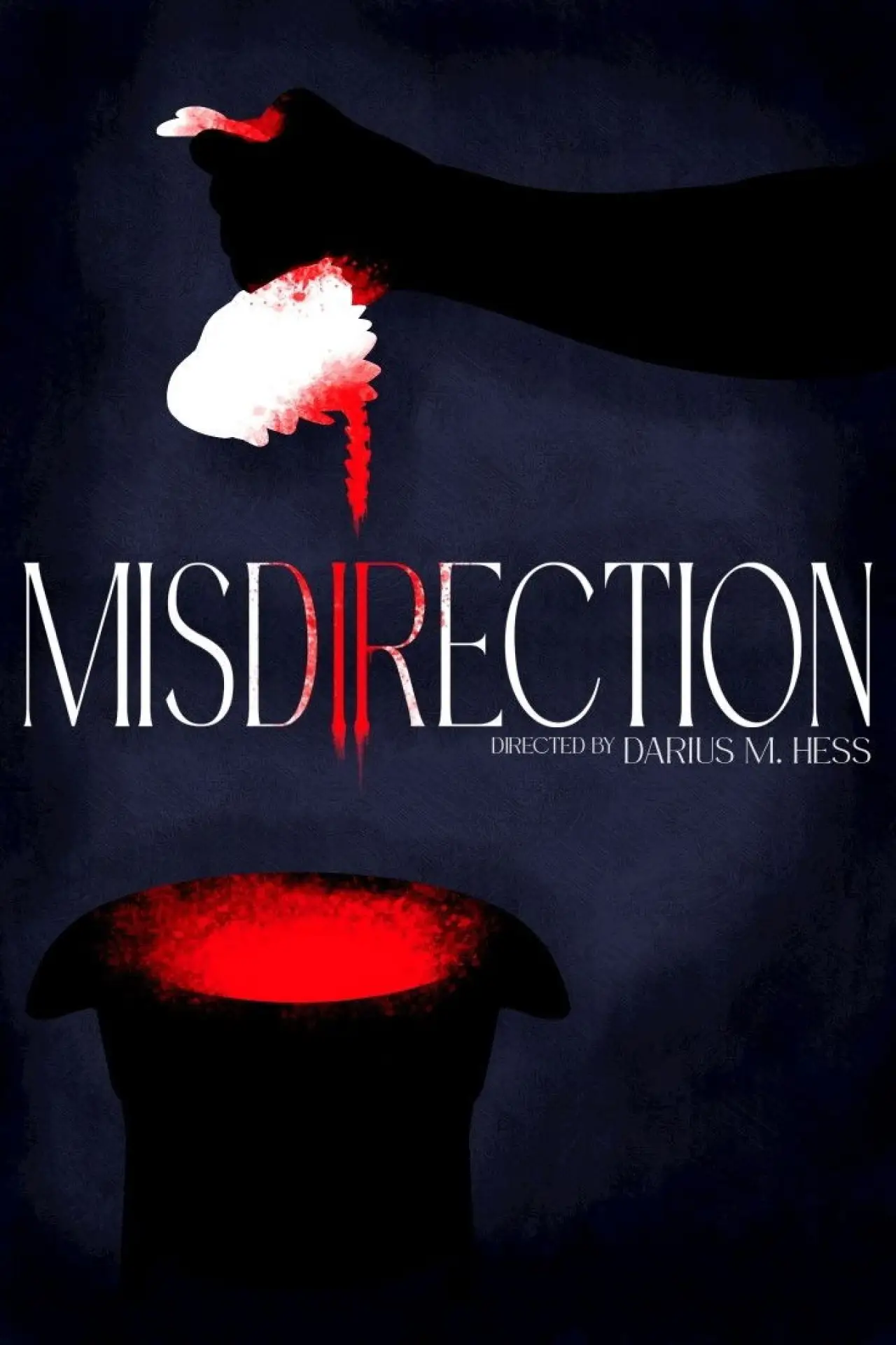 Постер до фільму "Misdirection"