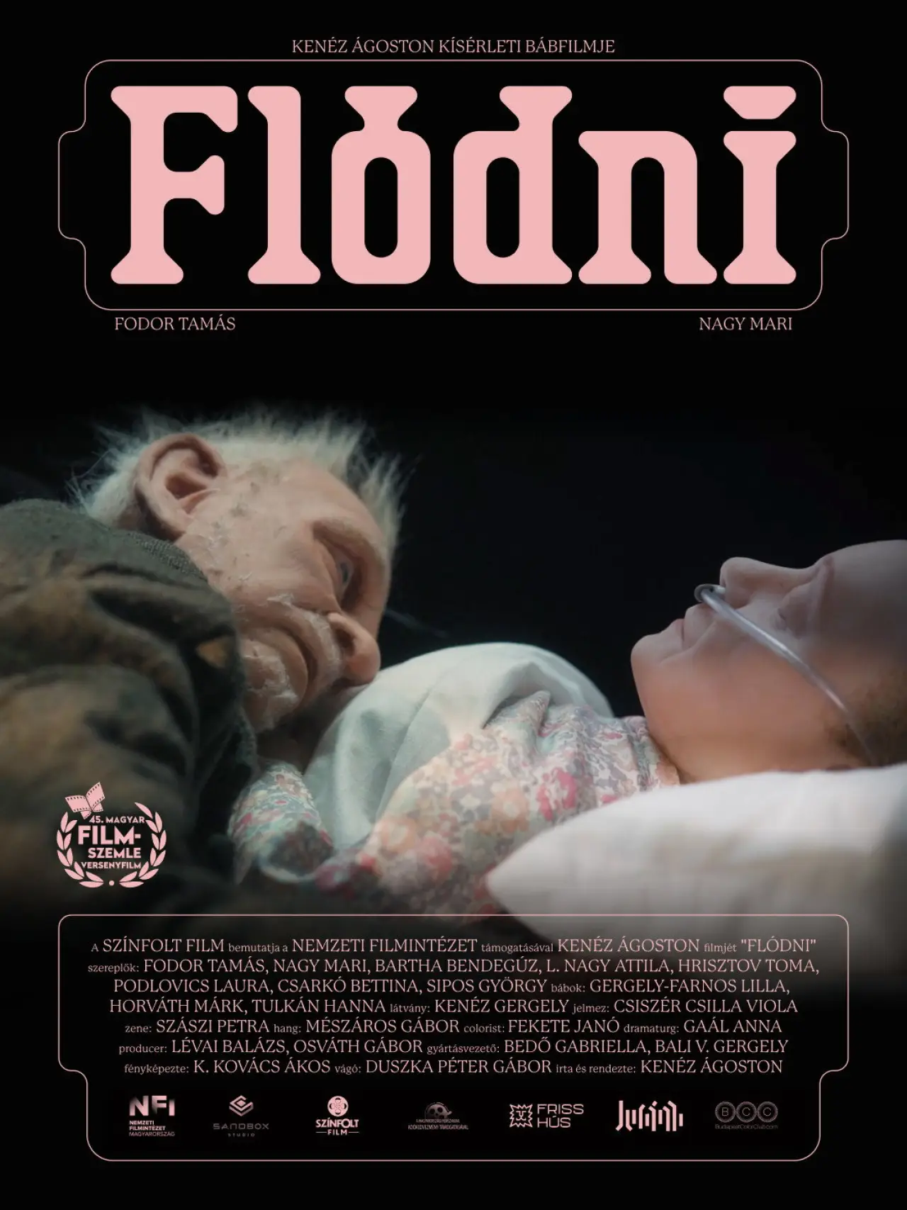 Постер до фільму "Flódni"