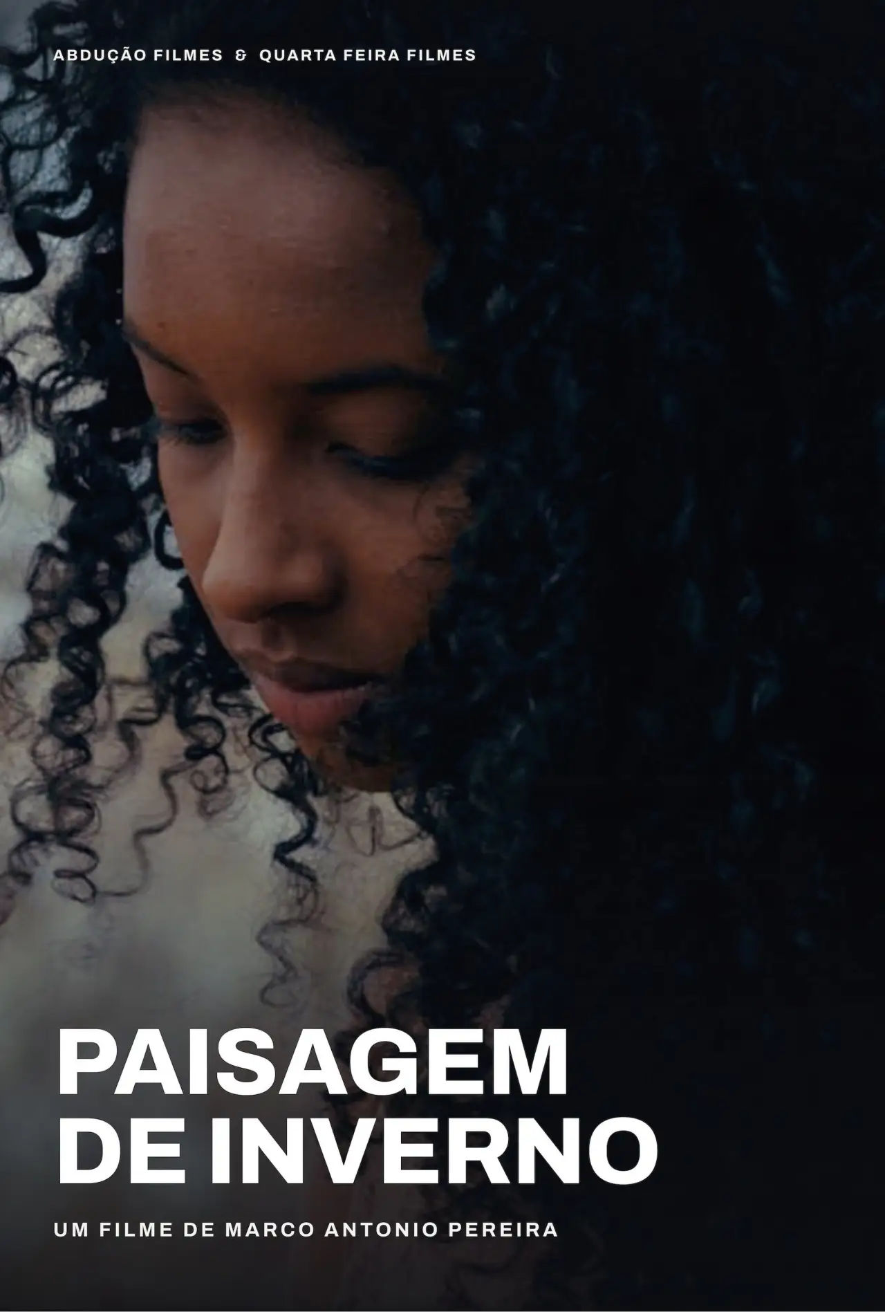 Постер до фільму "Paisagem de Inverno"
