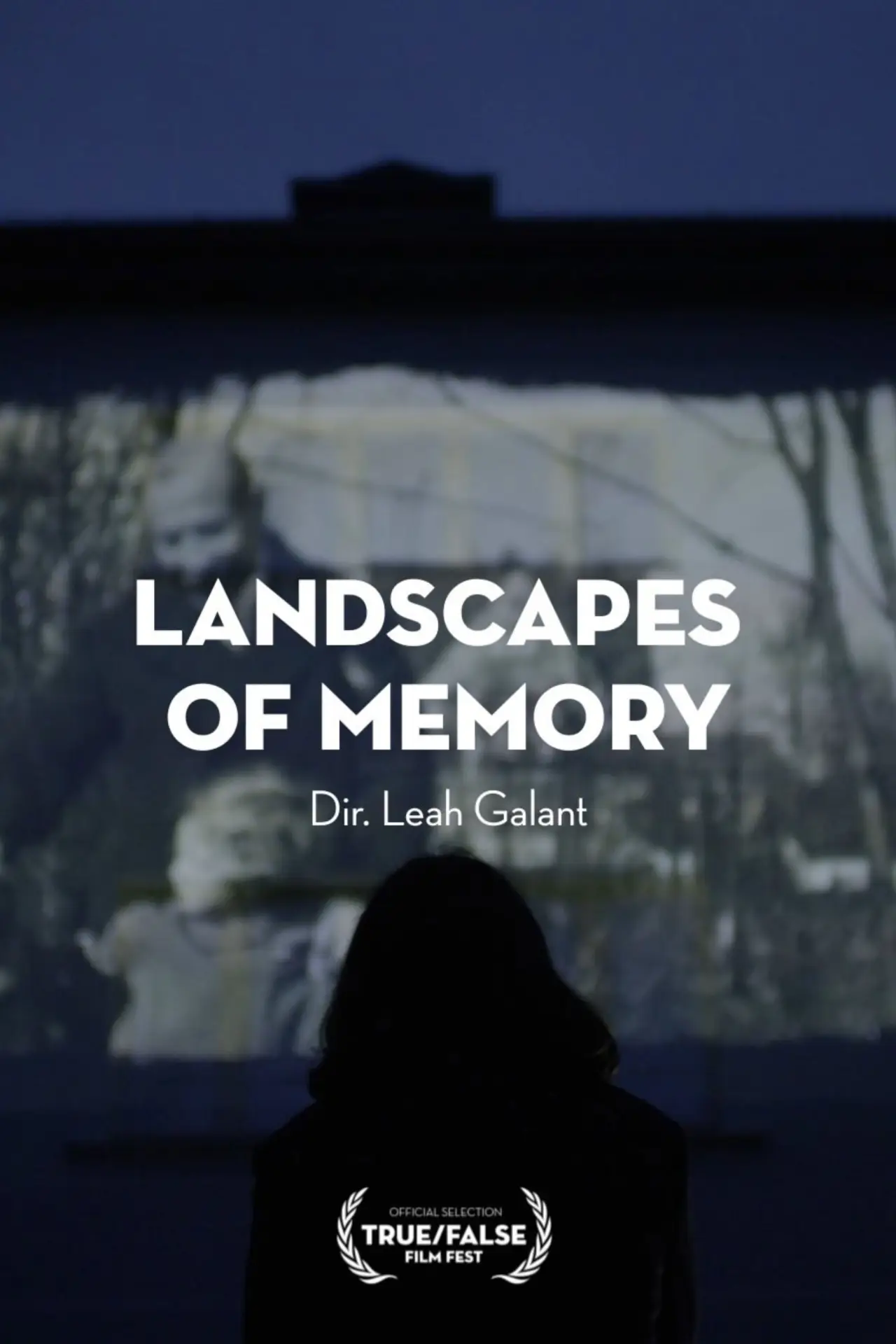 Постер до фільму "Landscapes of Memory"