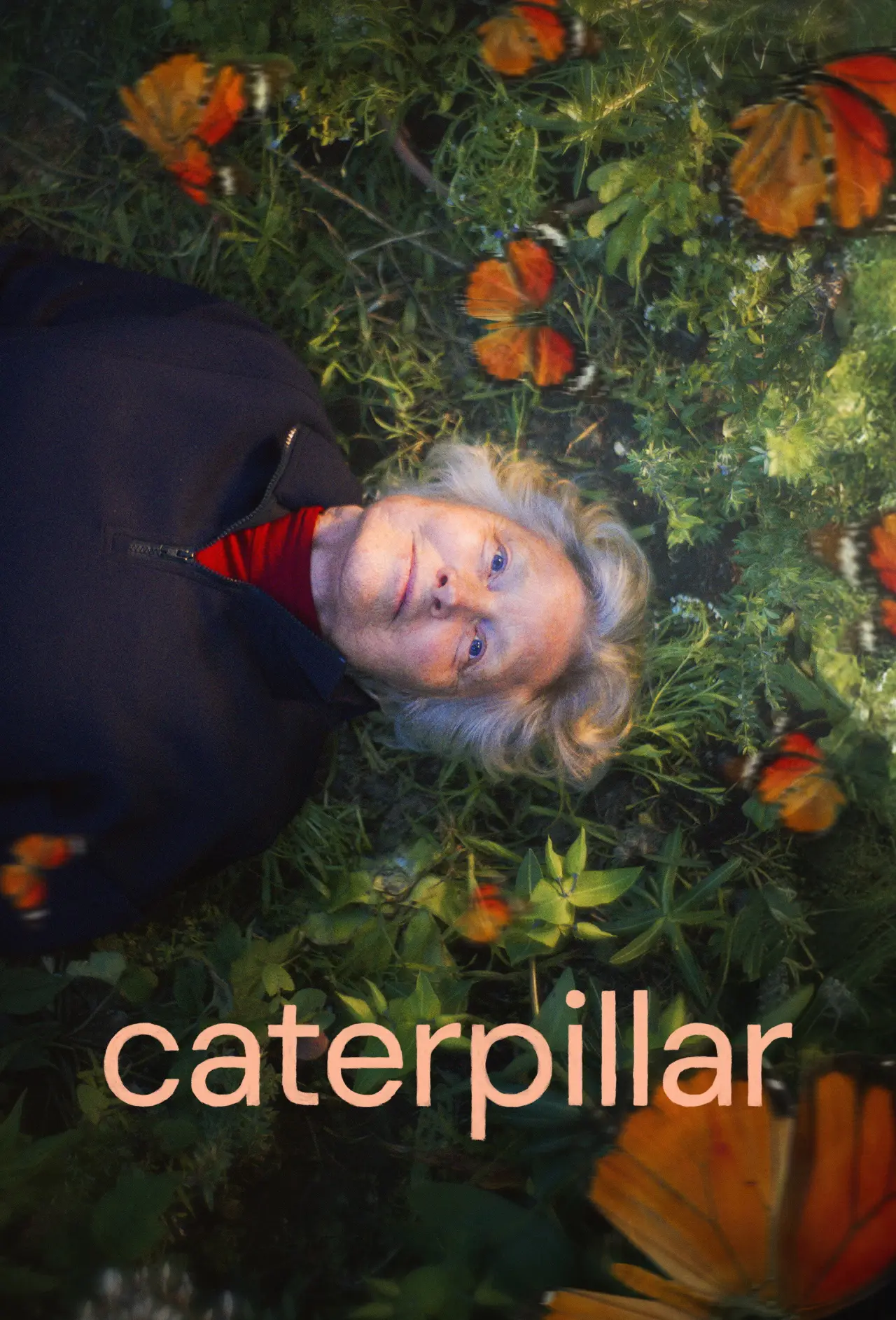 Постер до фільму "Caterpillar"
