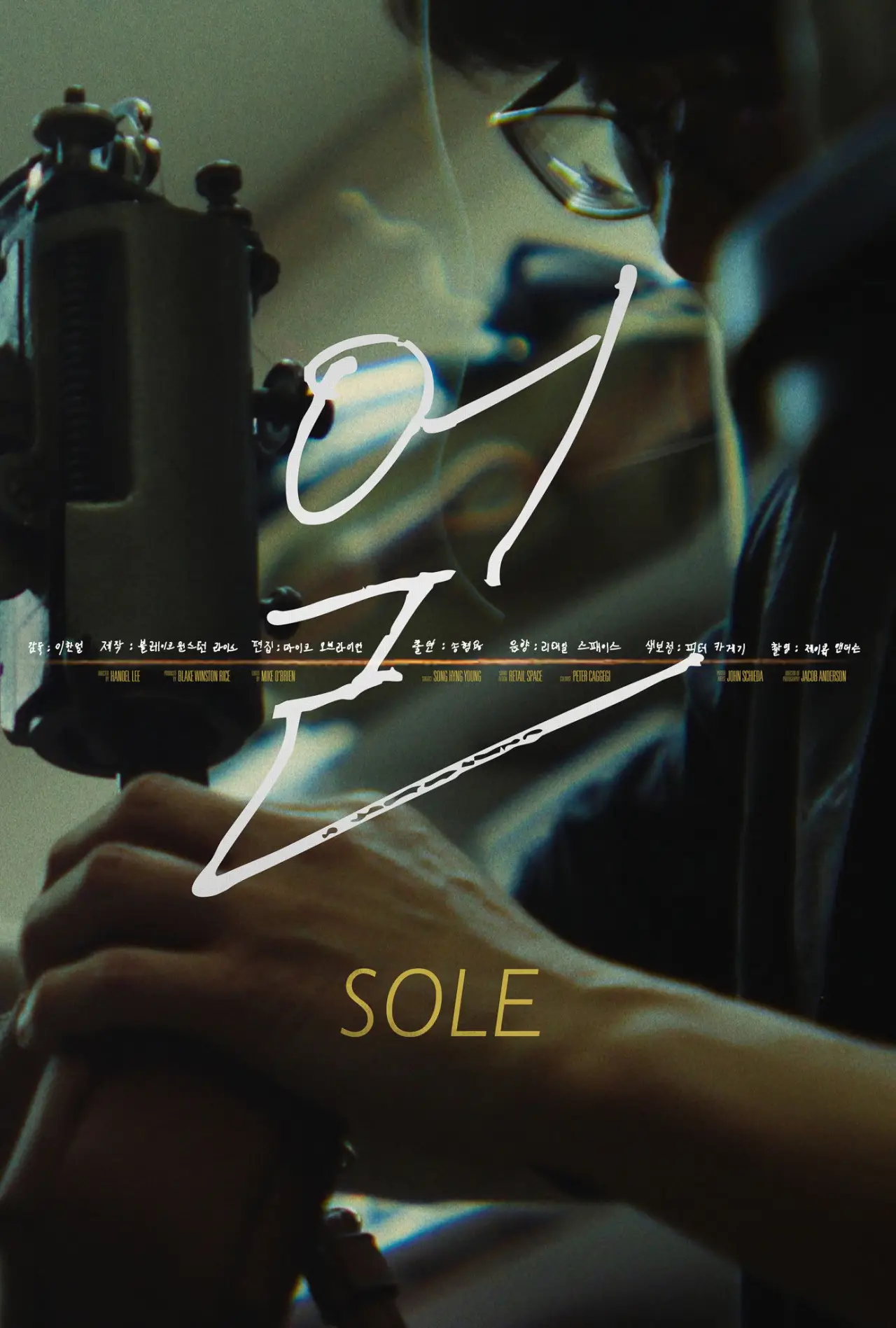 Постер до фільму "Sole (얼)"