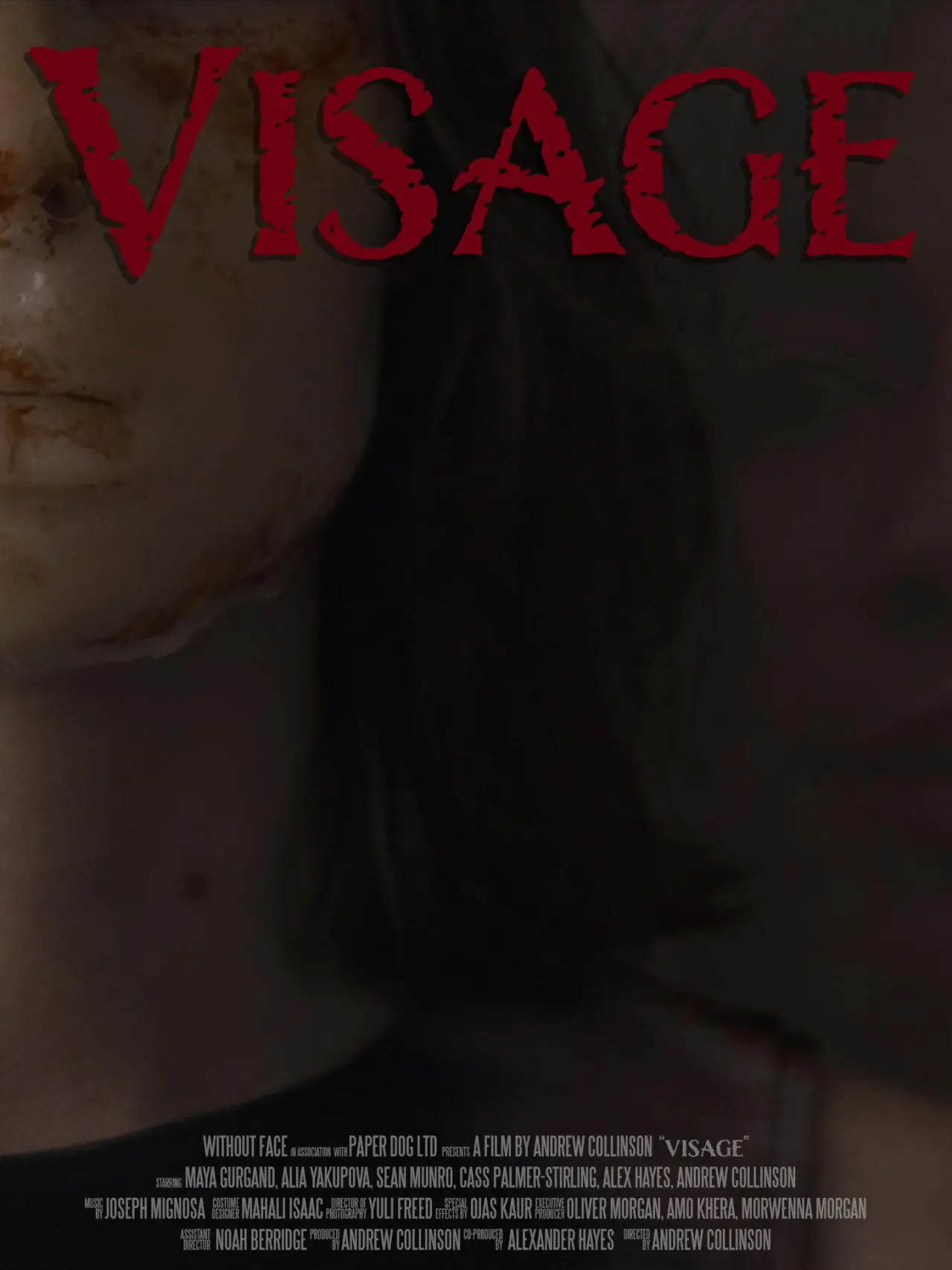 Постер до фільму "Visage"