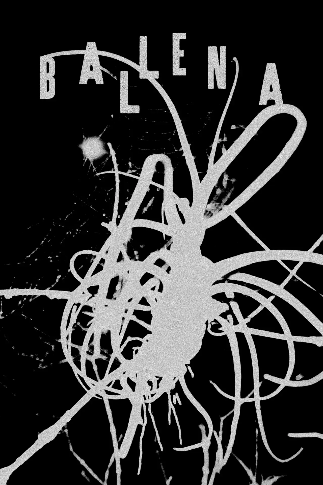 Постер до фільму "Ballena"