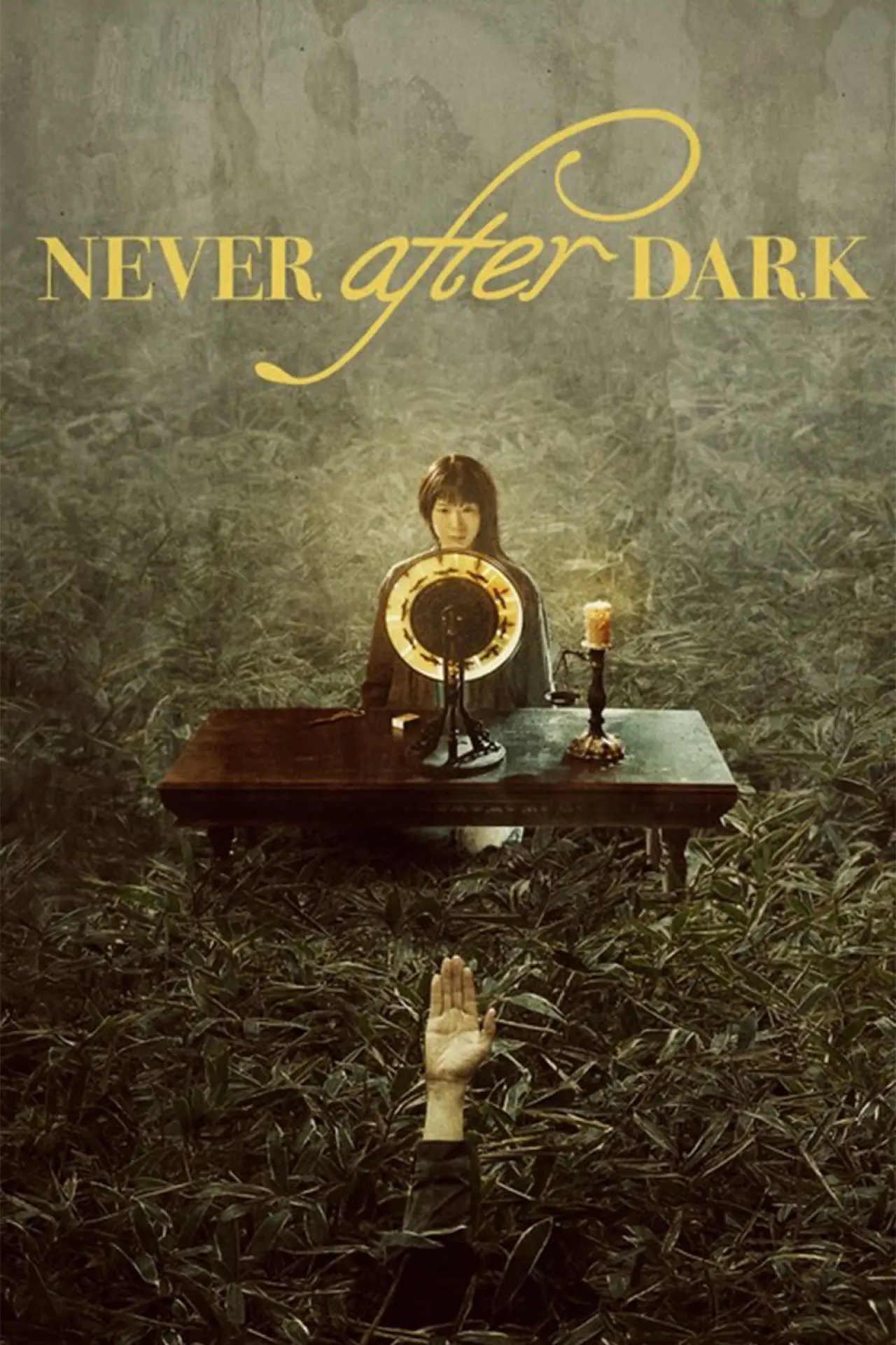 Постер до фільму "Never After Dark"