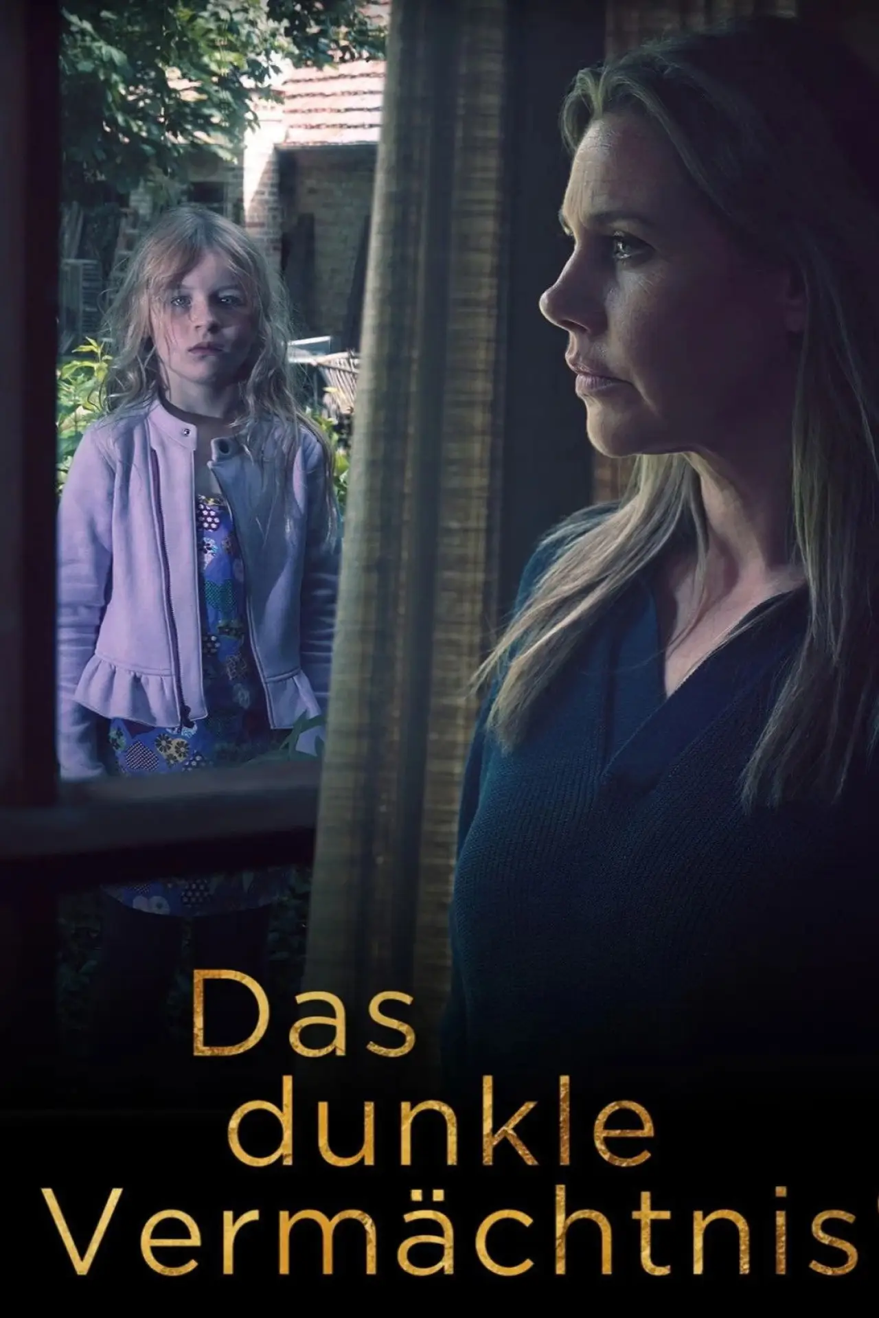 Постер до фільму "Das dunkle Vermächtnis"