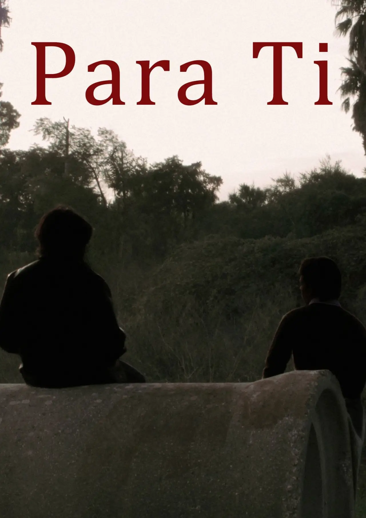 Постер до фільму "Para Ti"