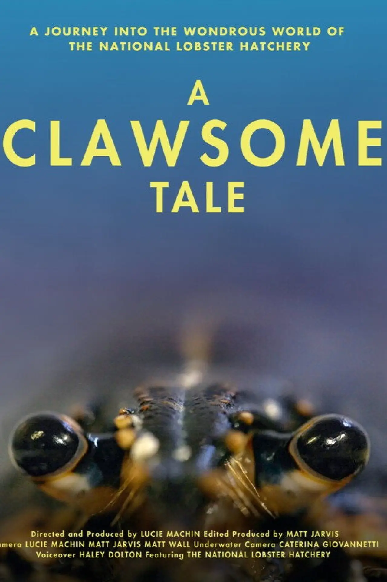 Постер до фільму "A Clawsome Tale"