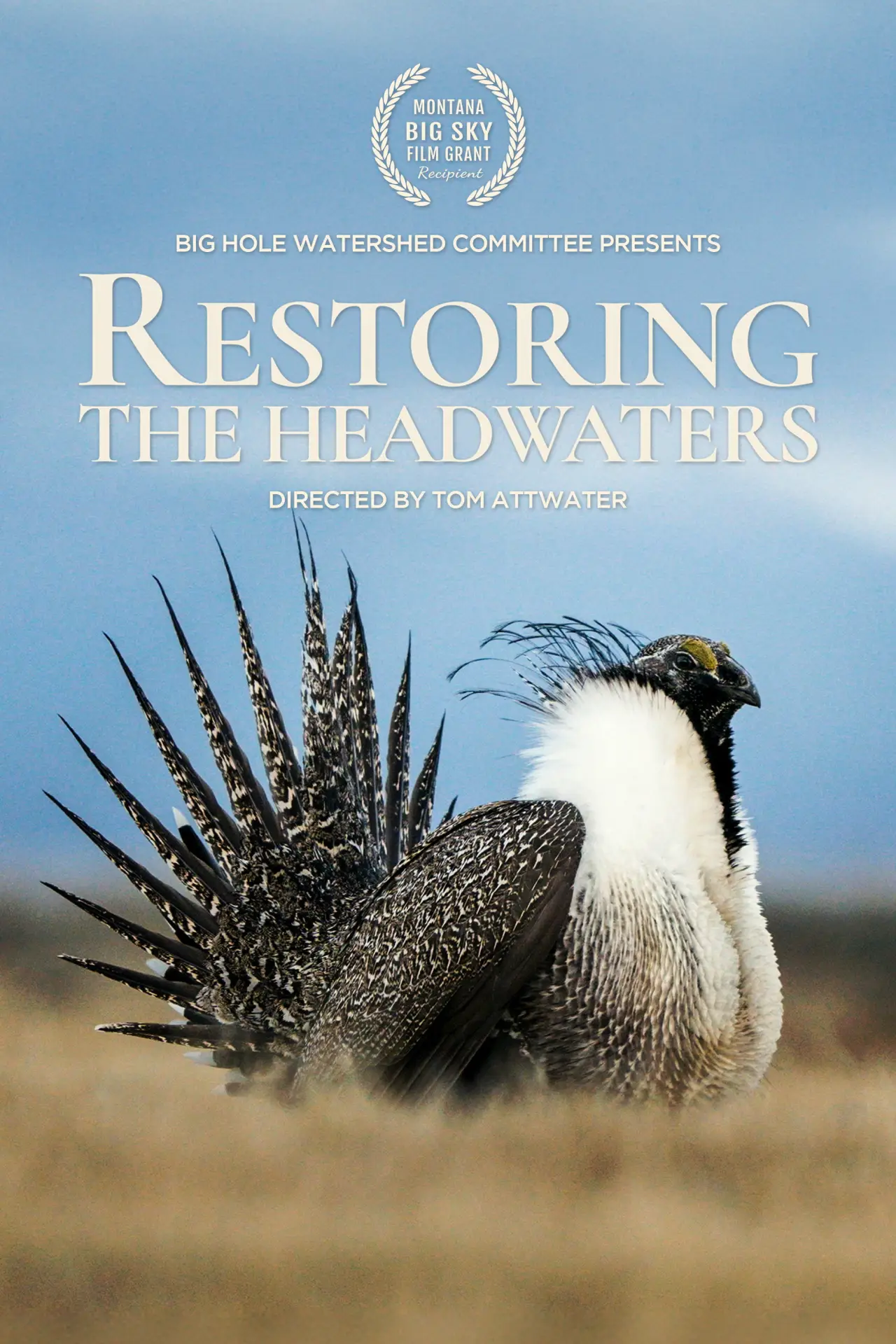 Постер до фільму "Restoring the Headwaters"