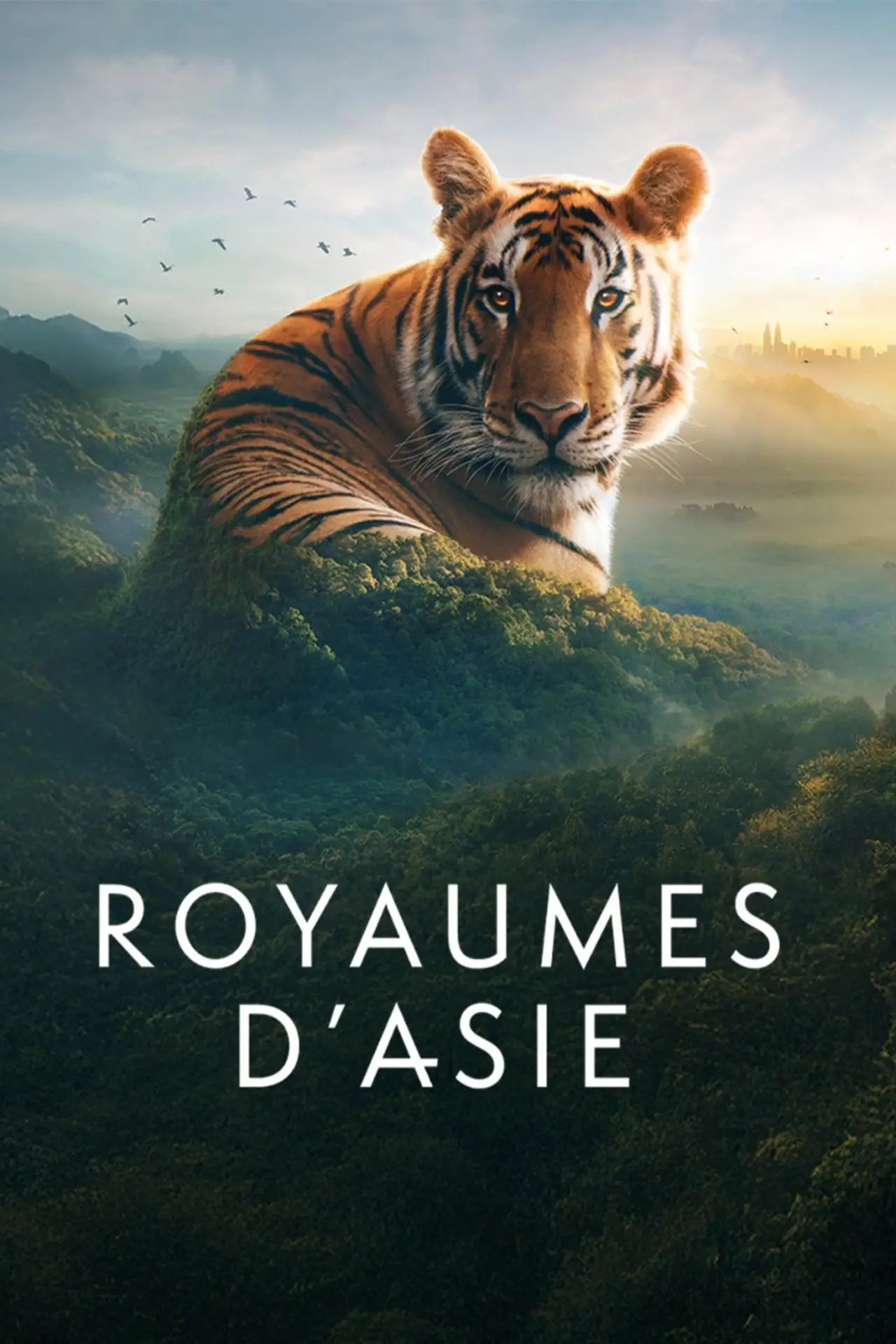 Постер до фільму "Royaumes d