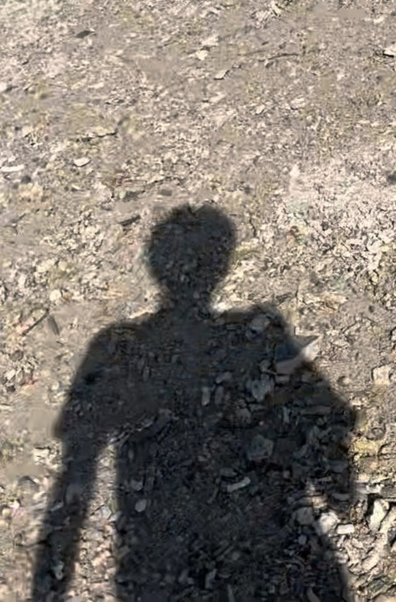 Постер до фільму "going outside so i wouldn
