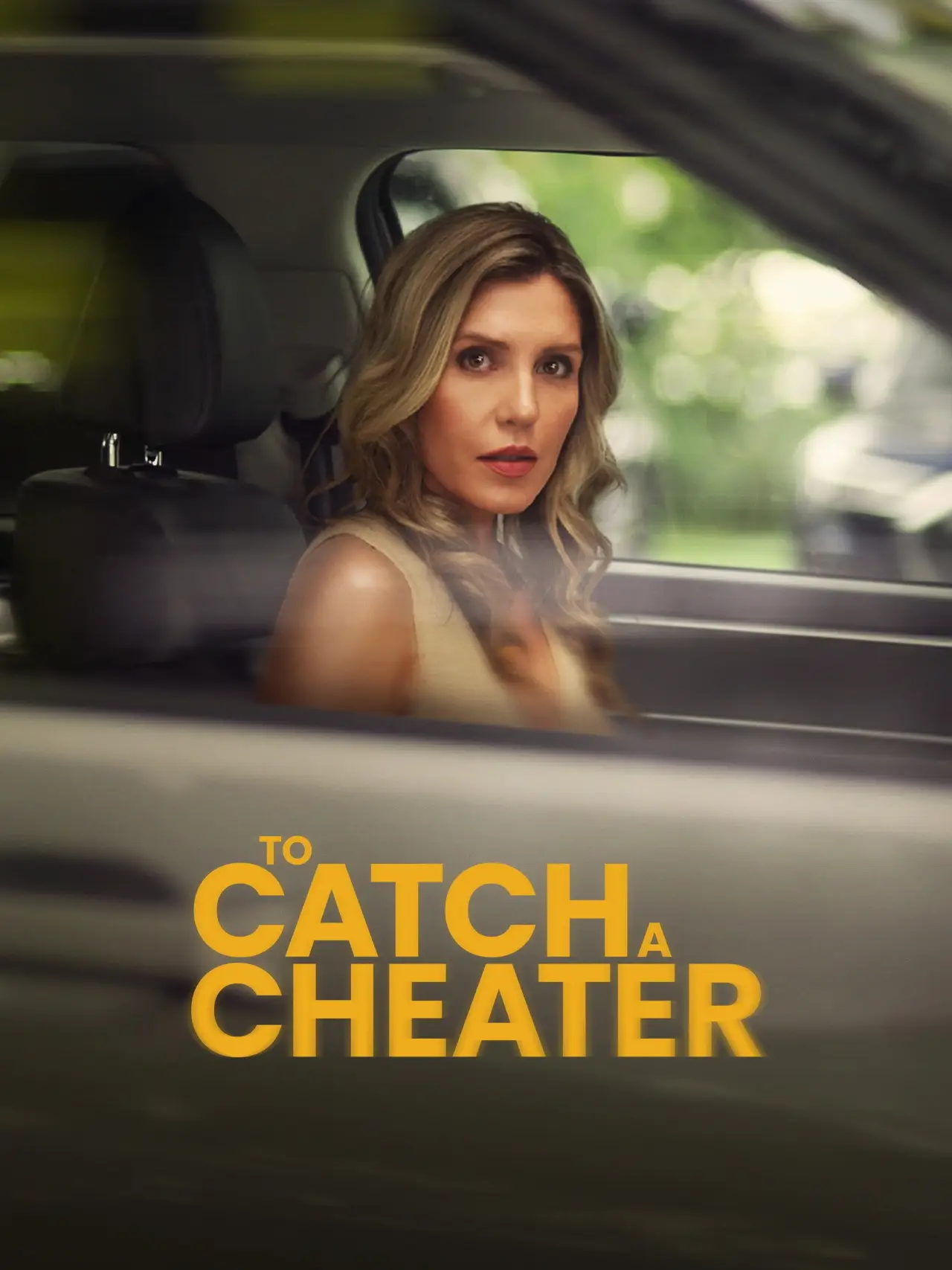 Постер до фільму "To Catch a Cheater"