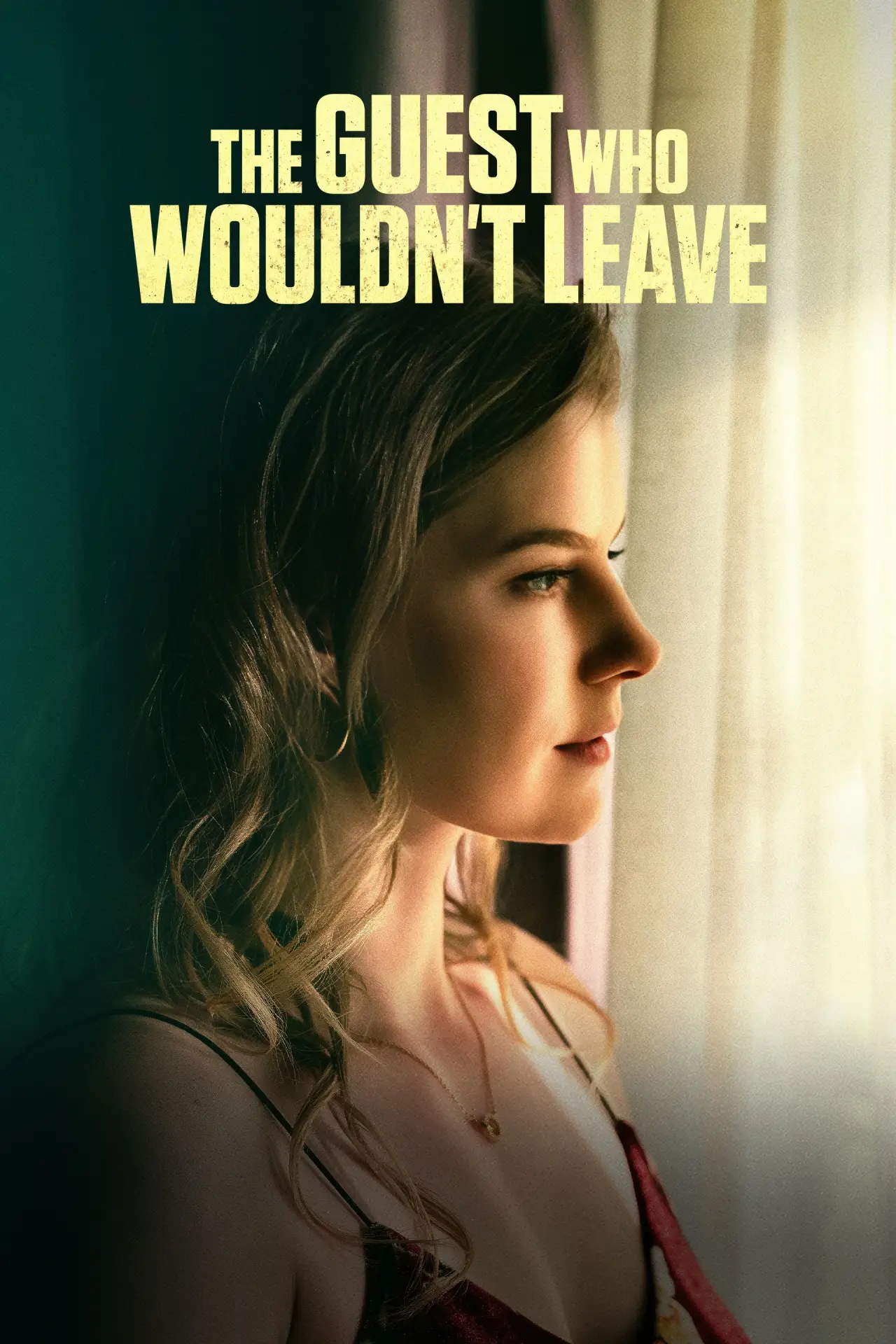Постер до фільму "The Guest Who Wouldn