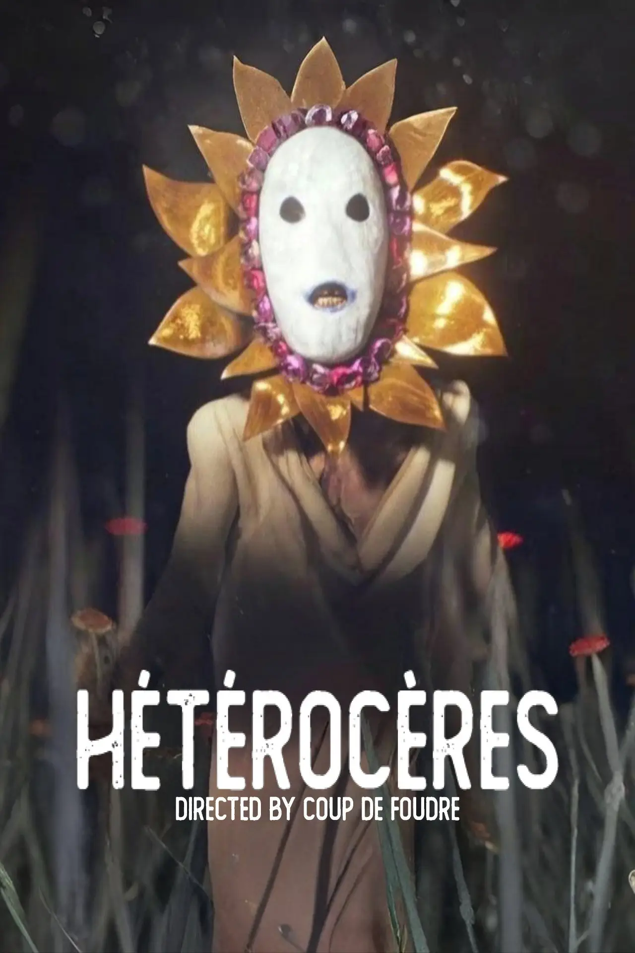 Постер до фільму "HÉTÉROCÈRES"