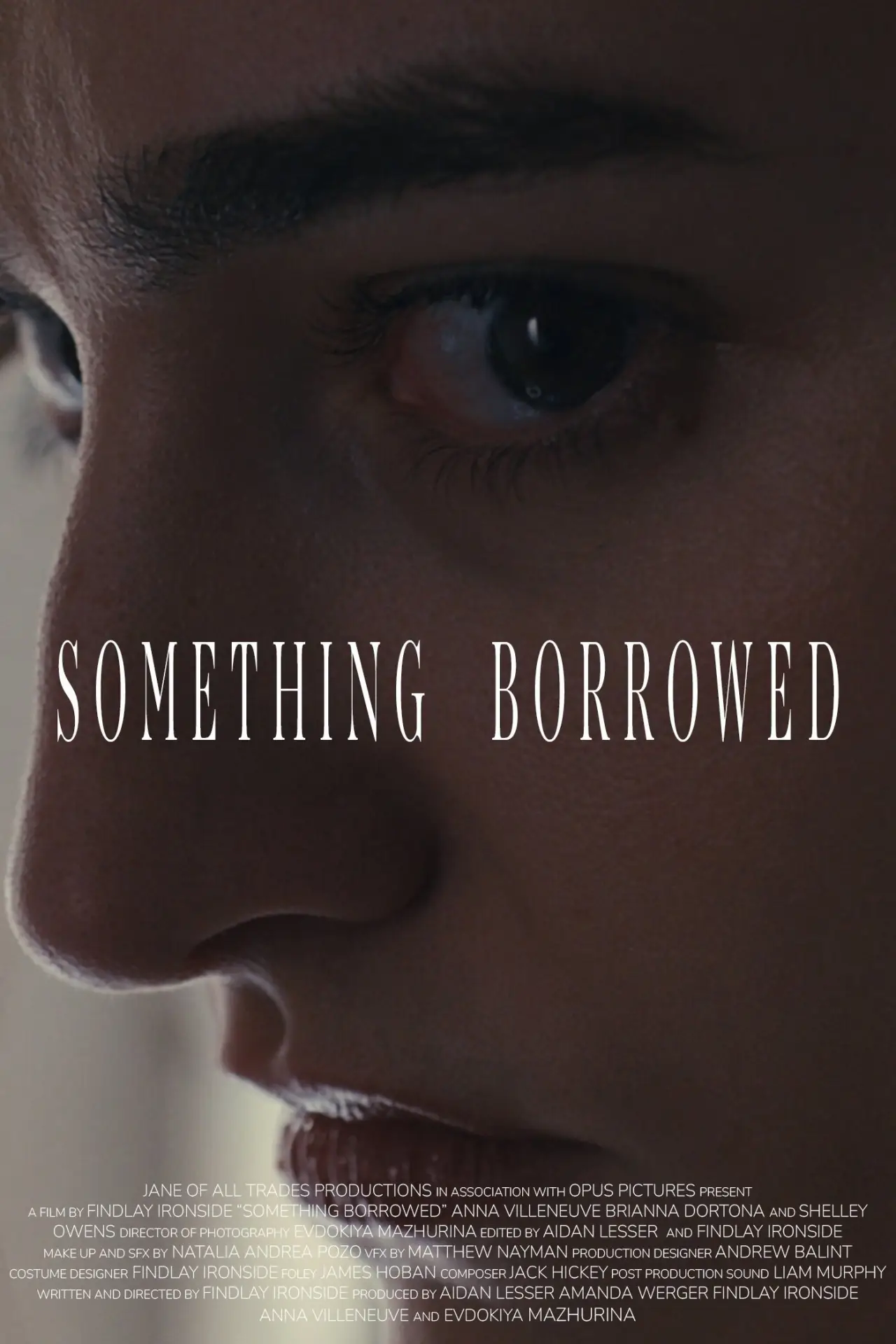 Постер до фільму "Something Borrowed"