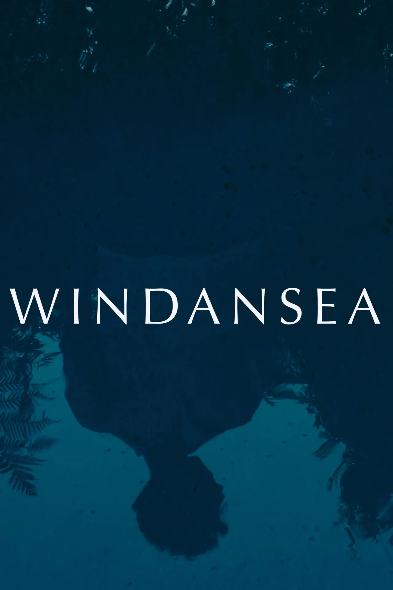 Постер до фільму "Windansea"