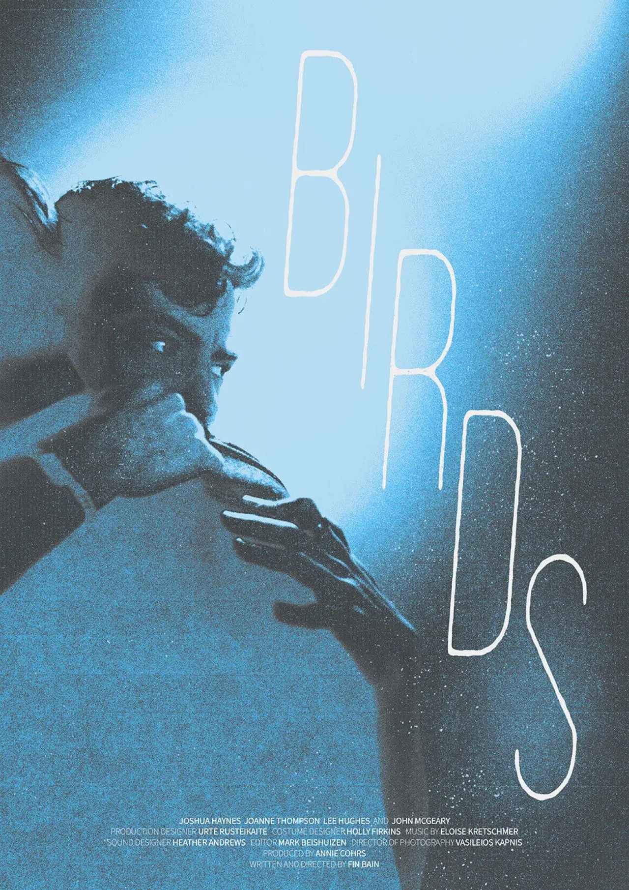 Постер до фільму "Birds"