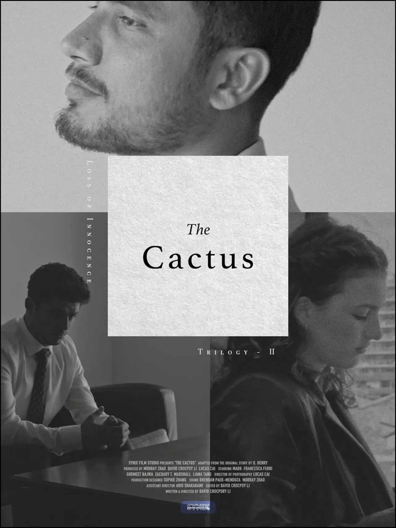 Постер до фільму "The Cactus"