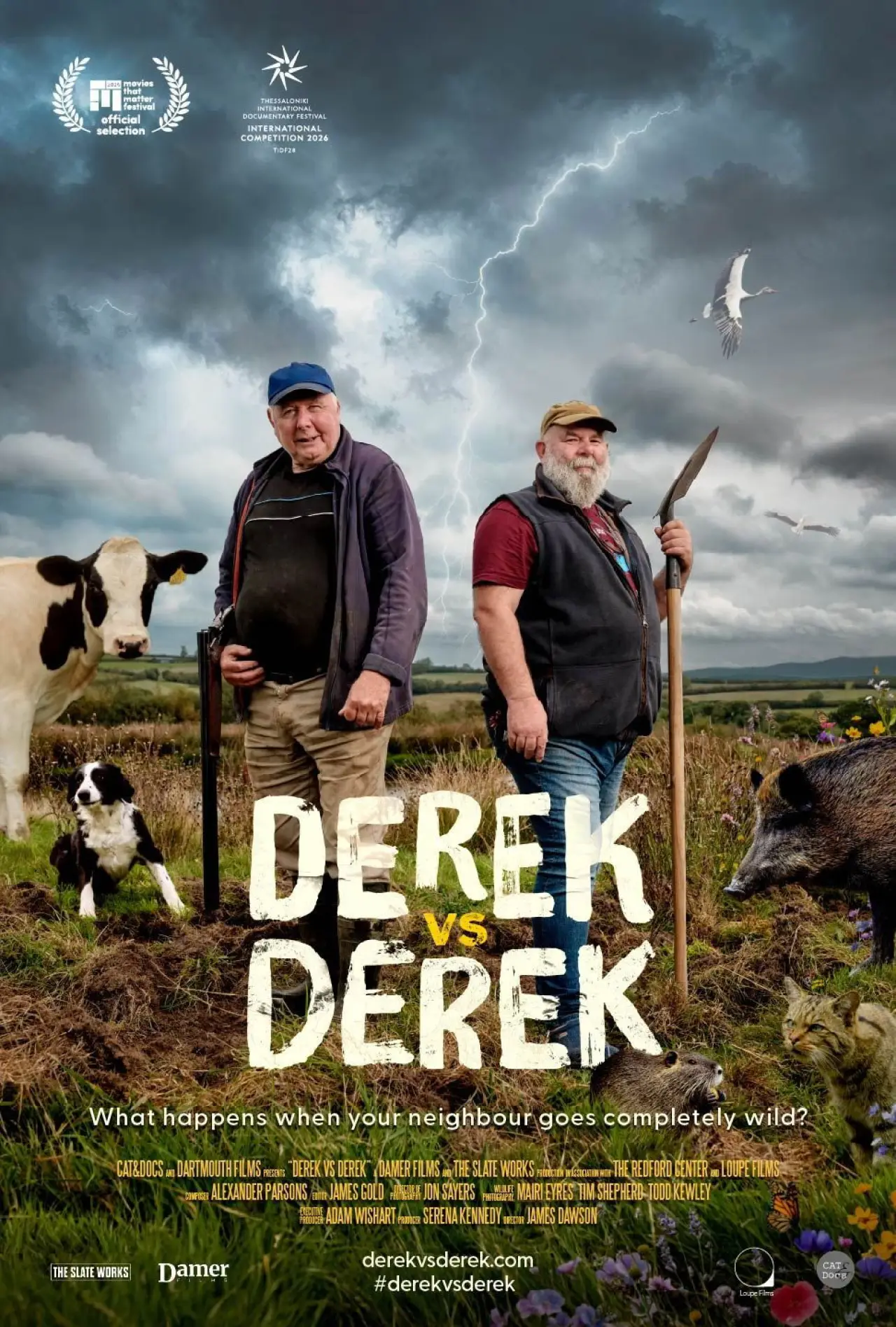 Постер до фільму "Derek vs Derek"