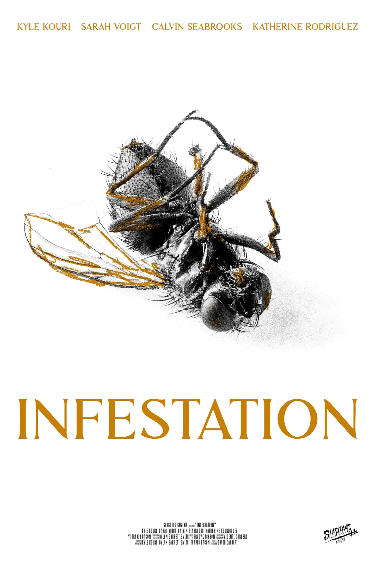 Постер до фільму "Infestation"