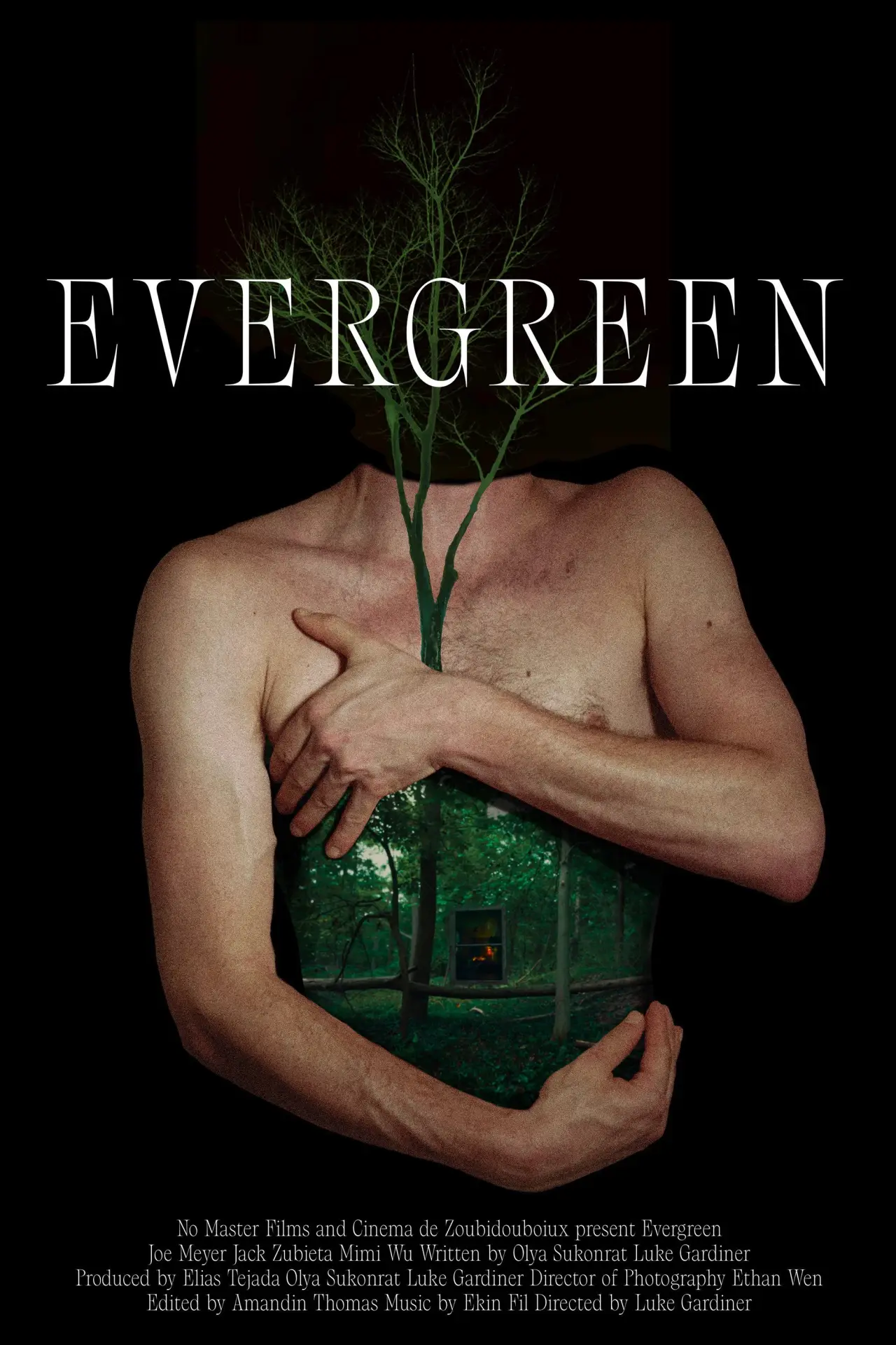 Постер до фільму "Evergreen"