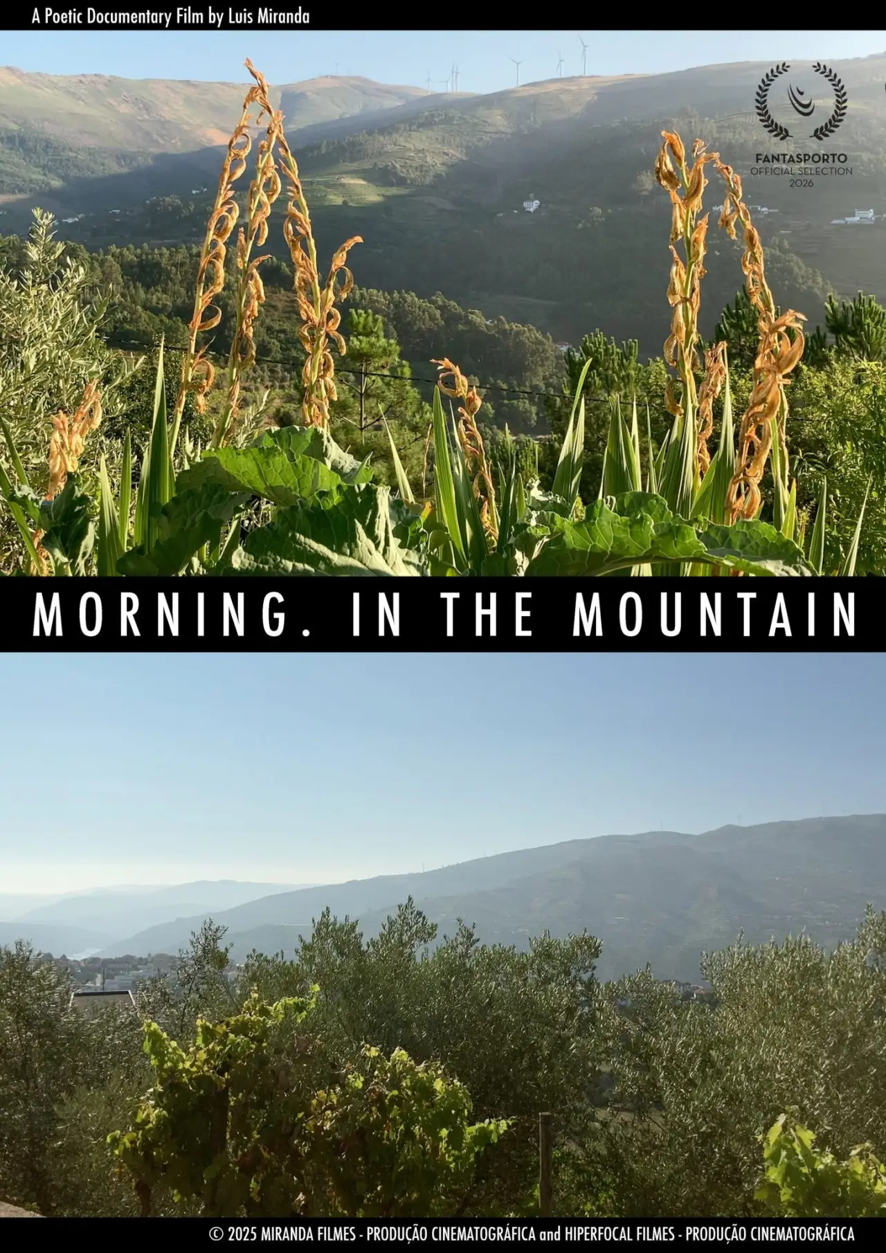 Постер до фільму "Manhã, na Montanha"