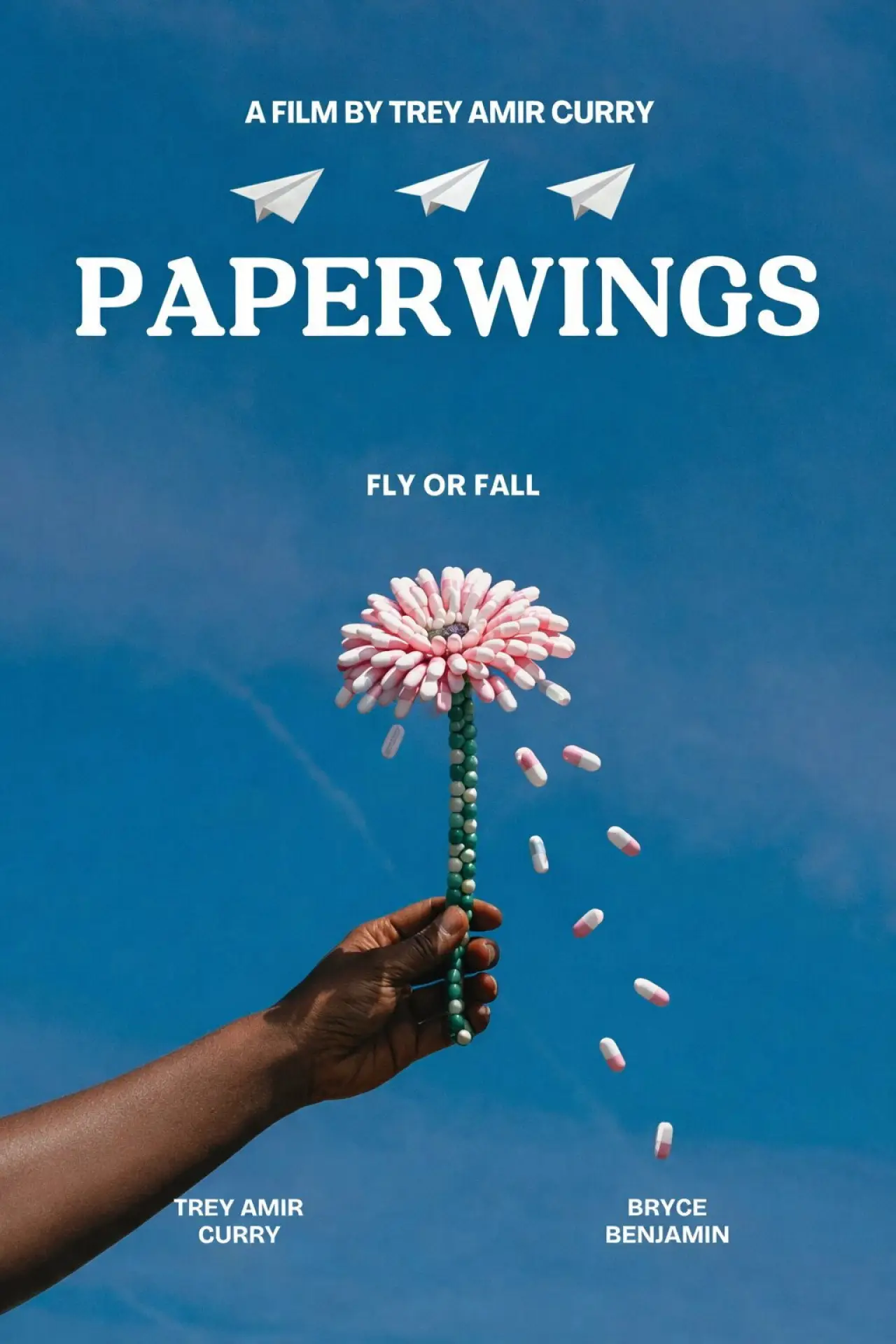 Постер до фільму "PAPERWINGS"