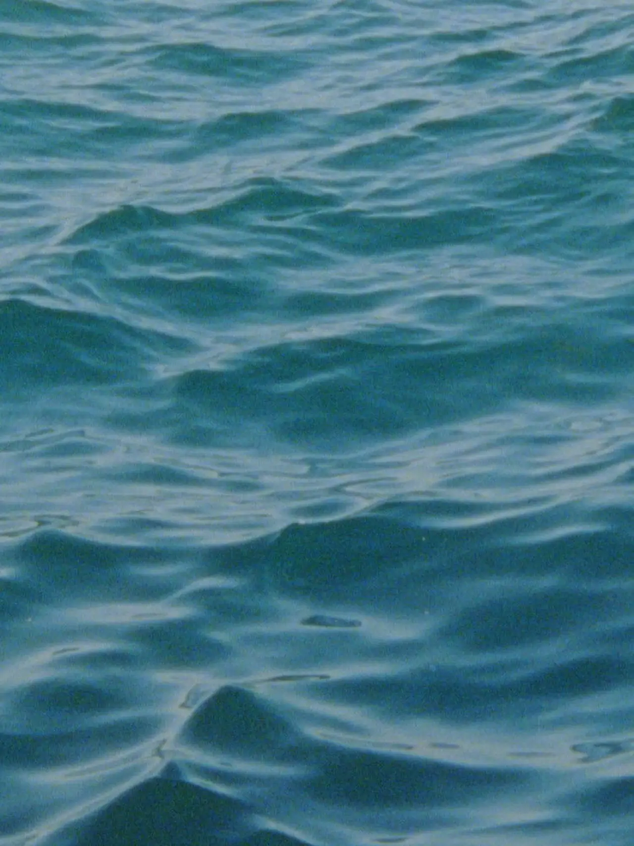 Постер до фільму "Water Diary"