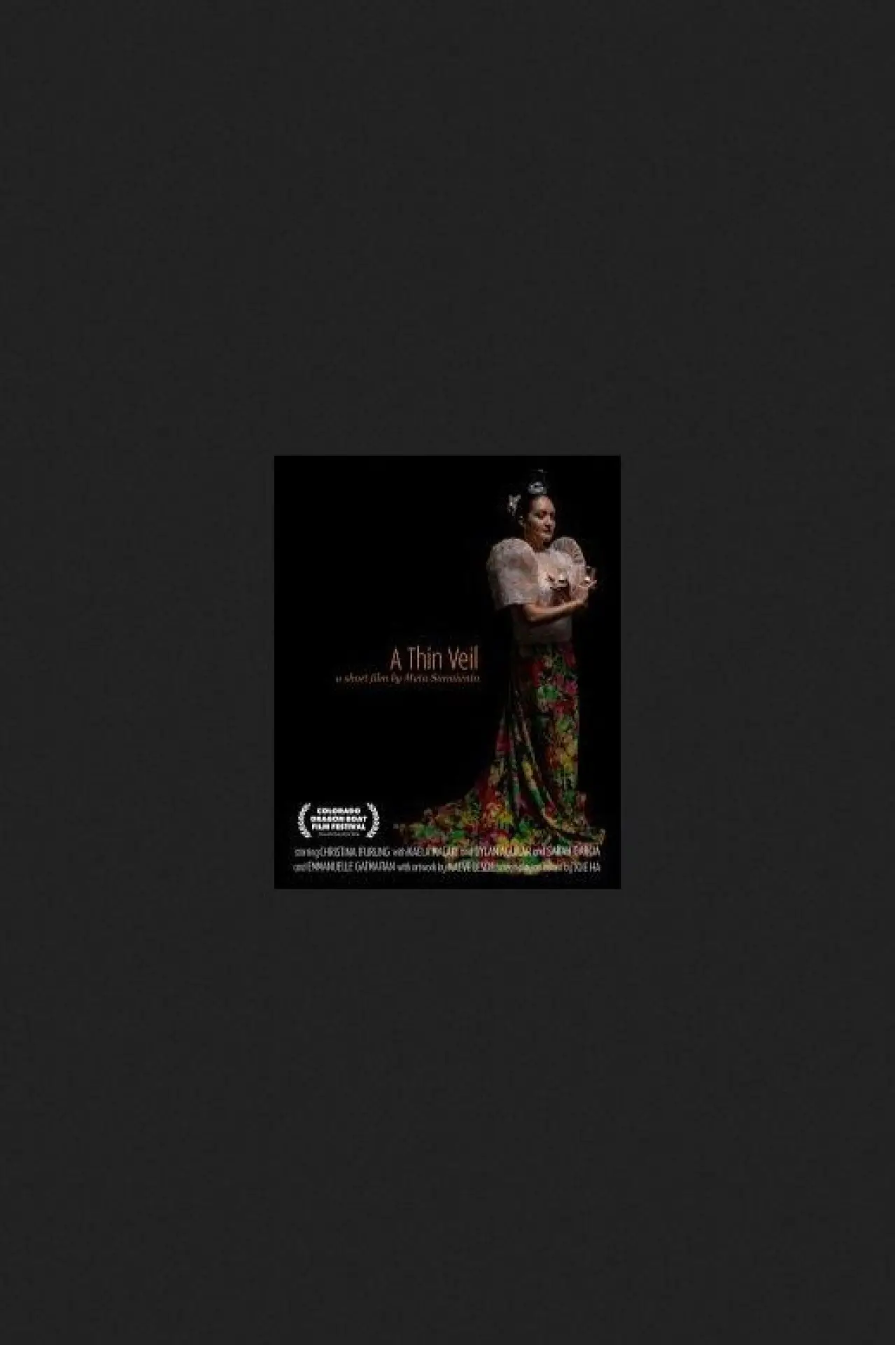 Постер до фільму "A Thin Veil"