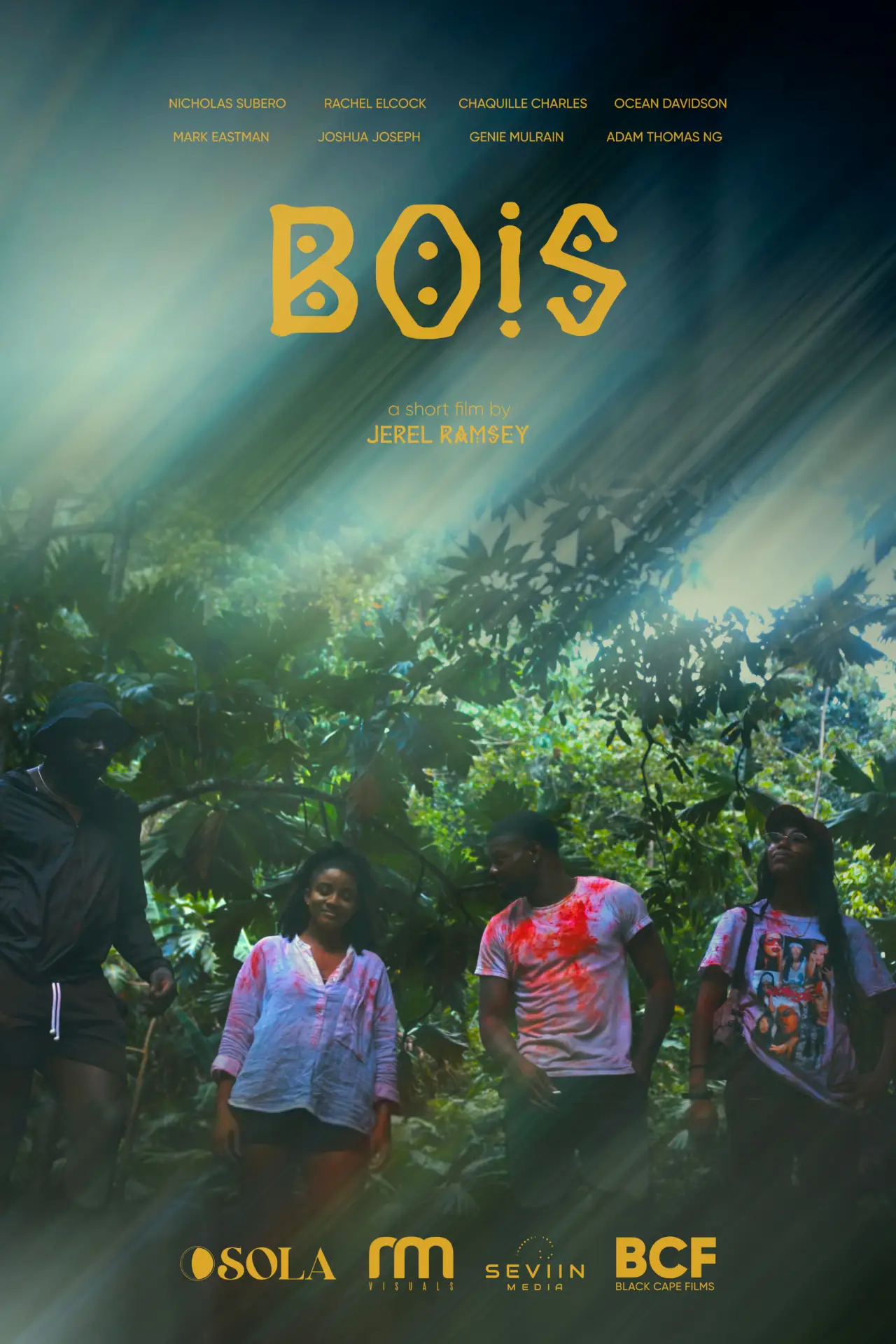 Постер до фільму "Bois"