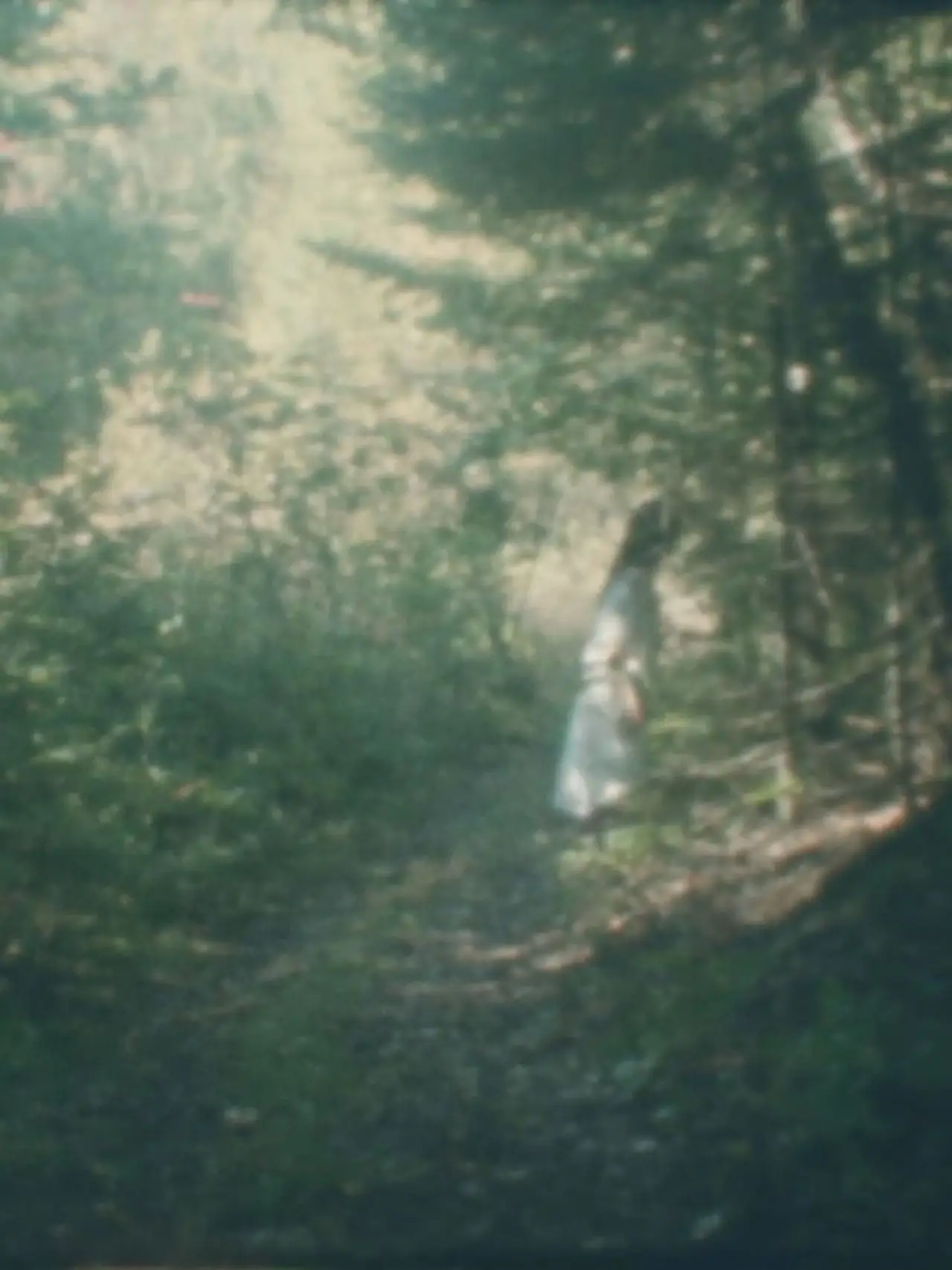 Постер до фільму "Femme forêt"