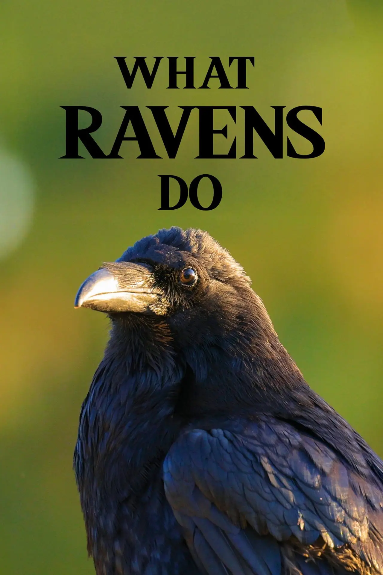 Постер до фільму "What Ravens Do"