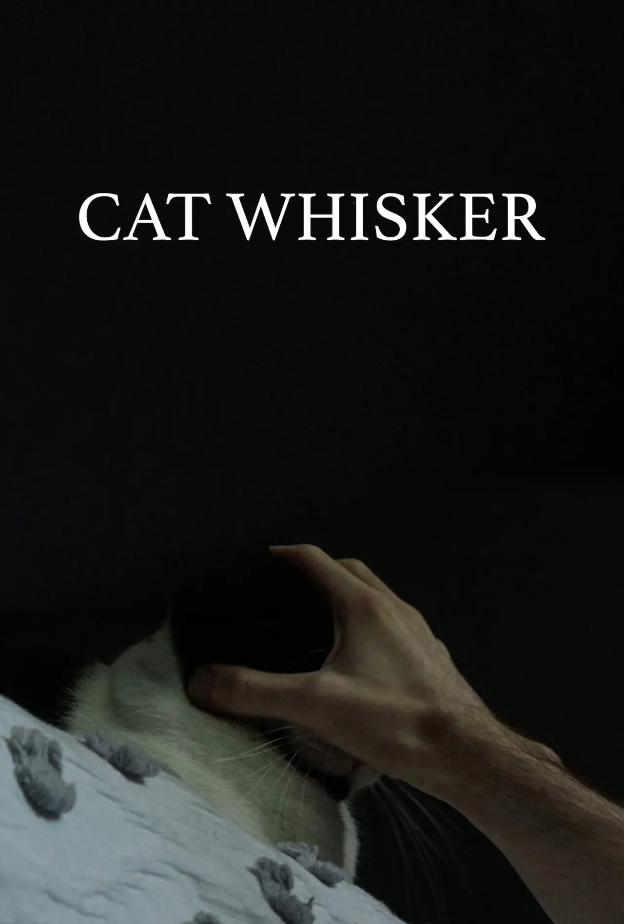 Постер до фільму "Cat Whisker"