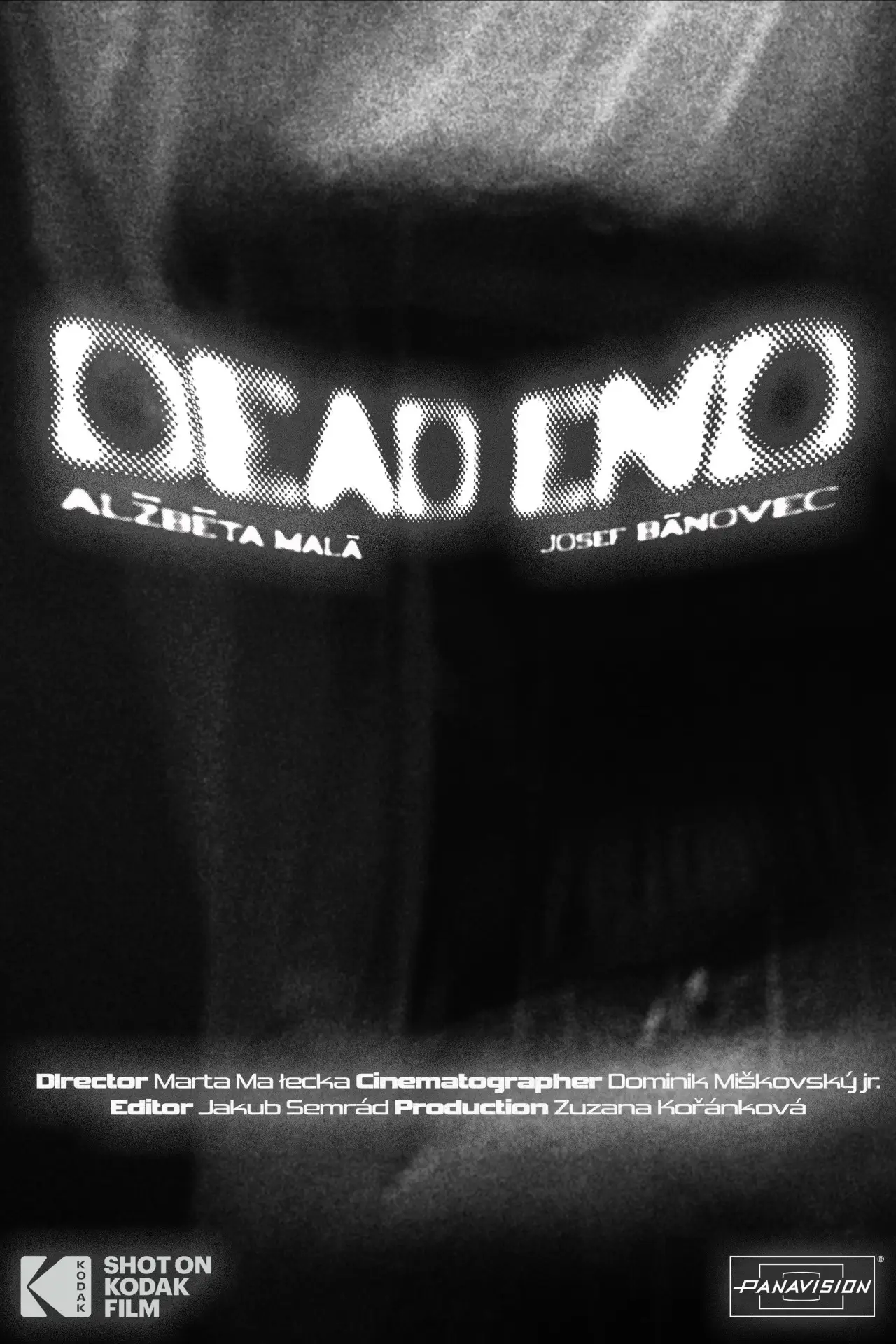 Постер до фільму "Dead End"