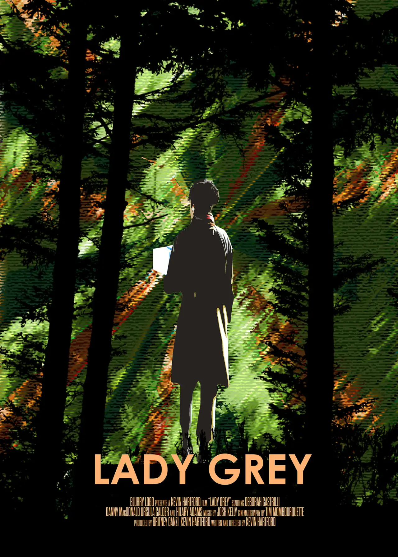 Постер до фільму "Lady Grey"