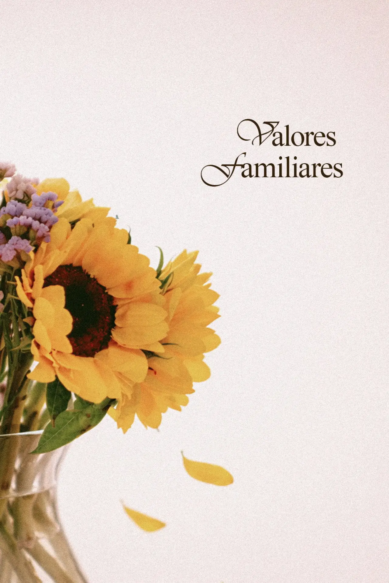 Постер до фільму "Valores Familiares"