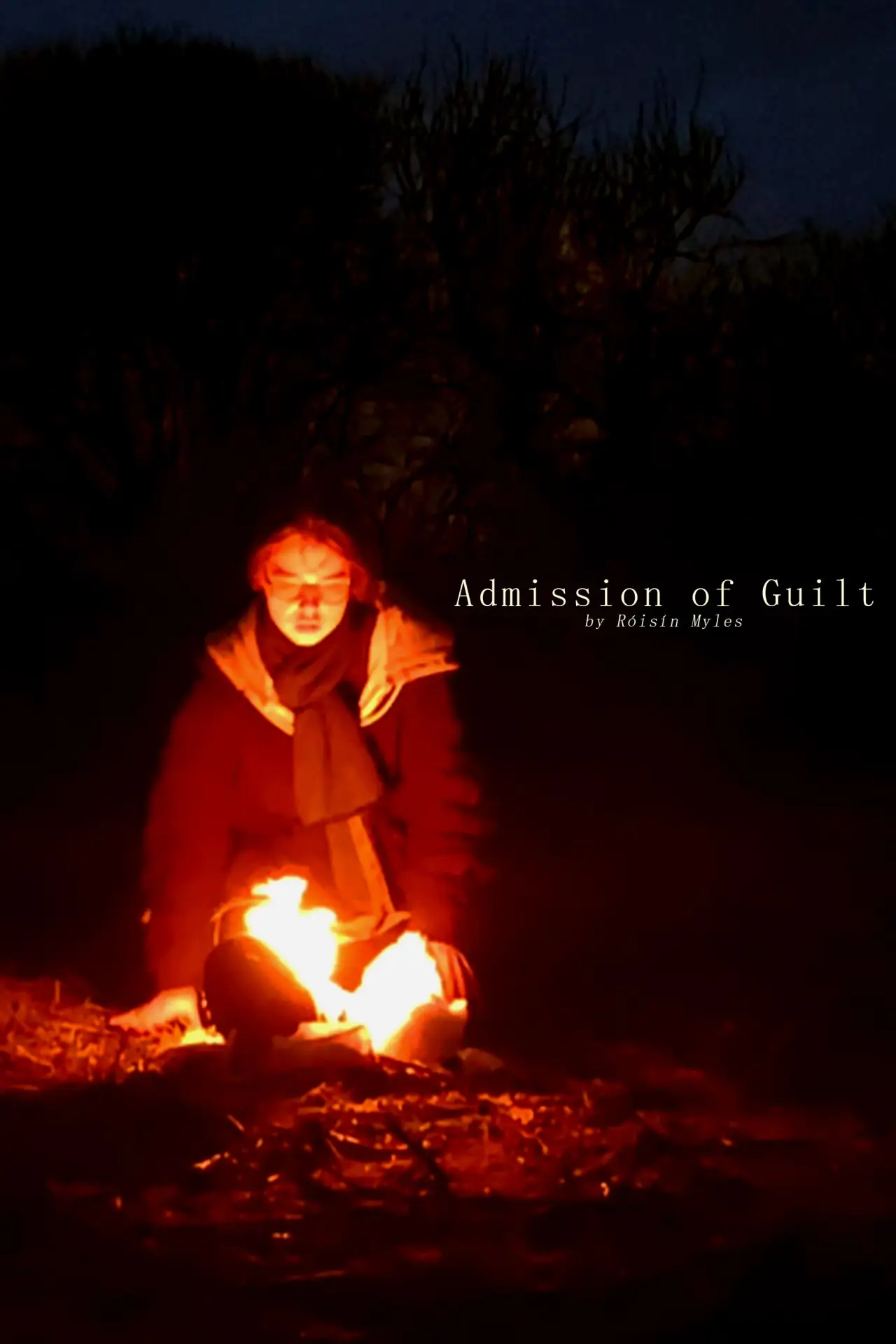 Постер до фільму "Admission of Guilt"