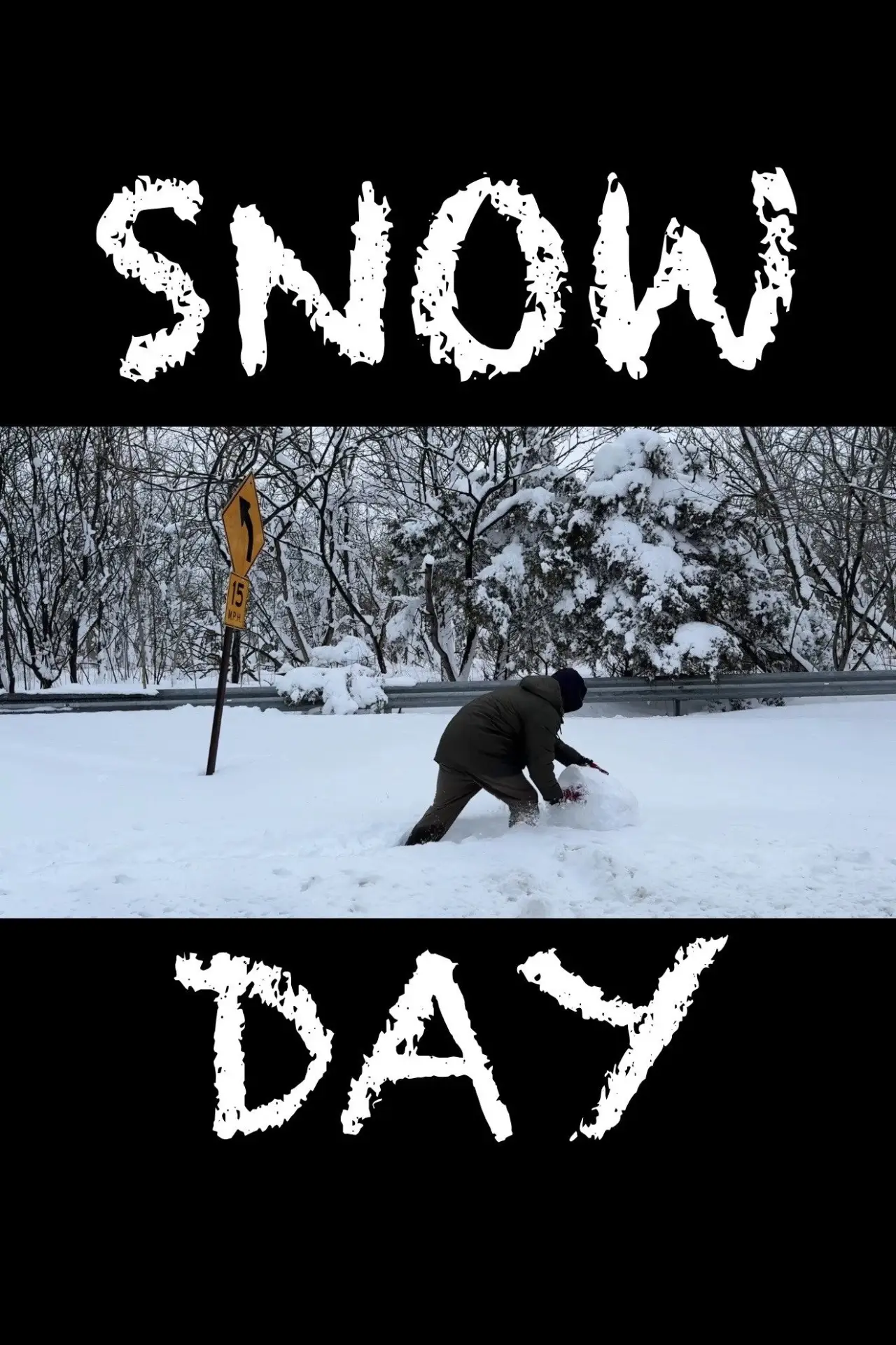 Постер до фільму "Snowday"