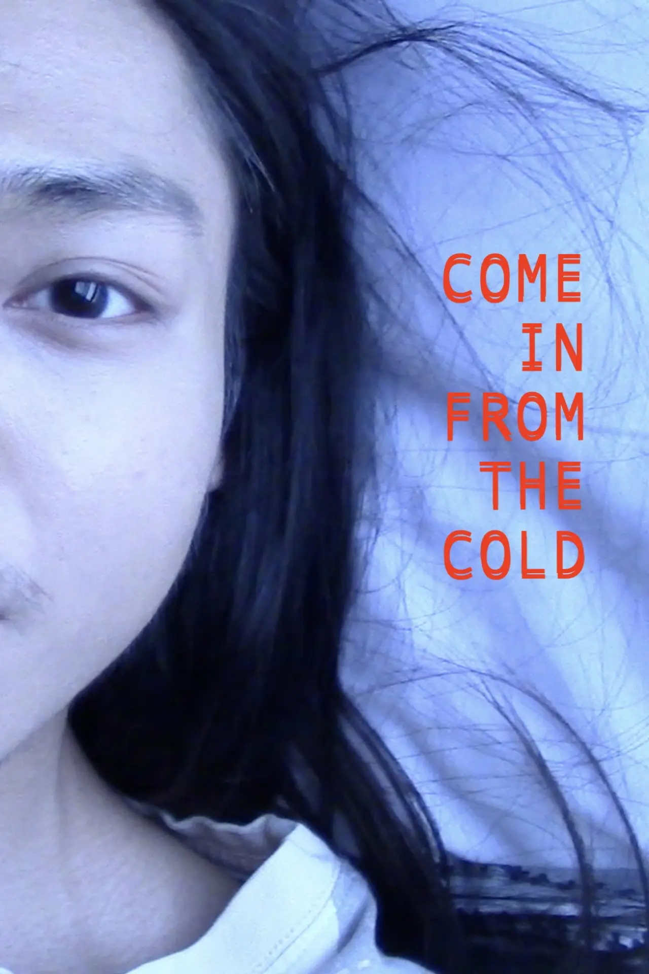 Постер до фільму "Come In From the Cold"
