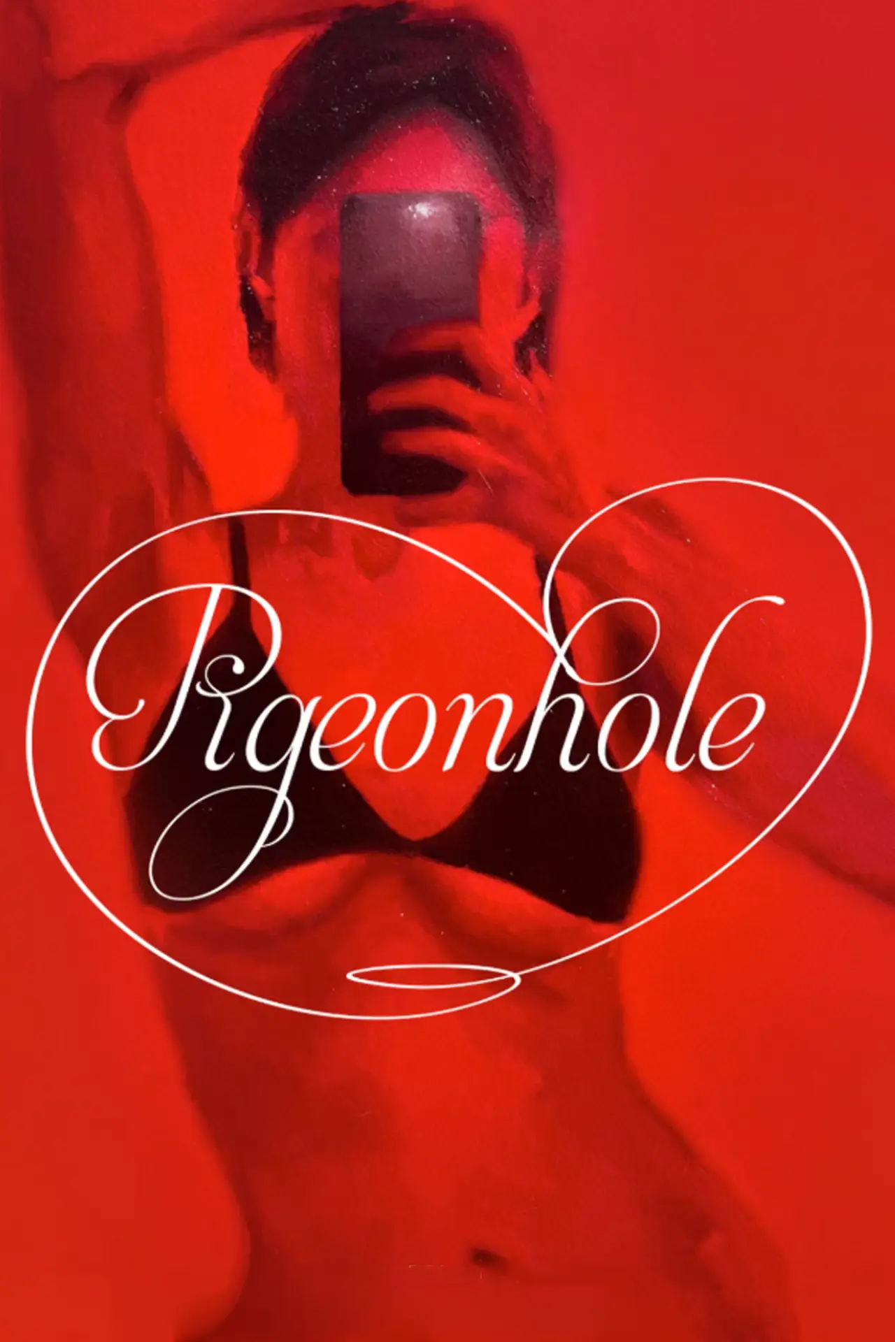 Постер до фільму "pigeonhole"