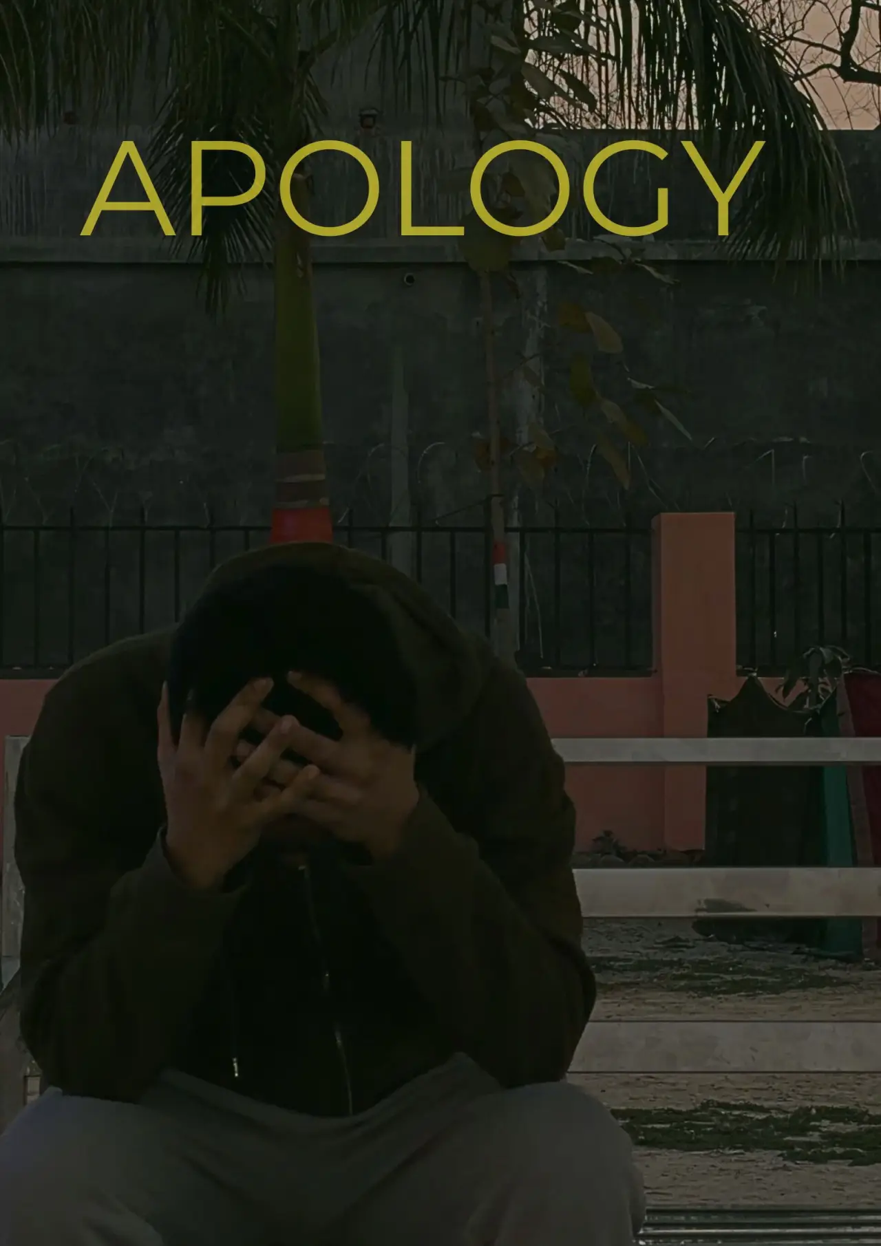 Постер до фільму "Apology"