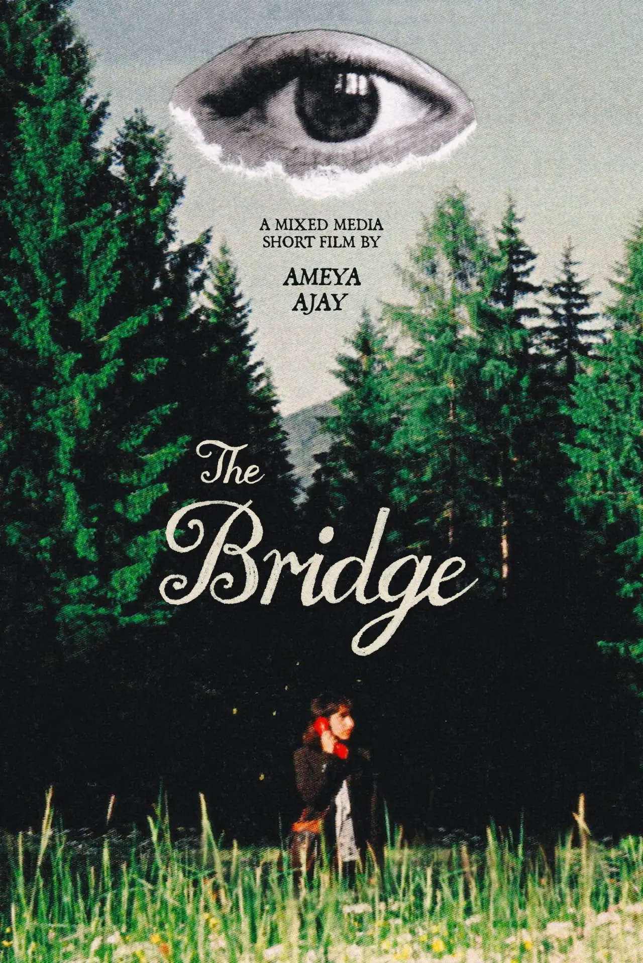 Постер до фільму "The Bridge"