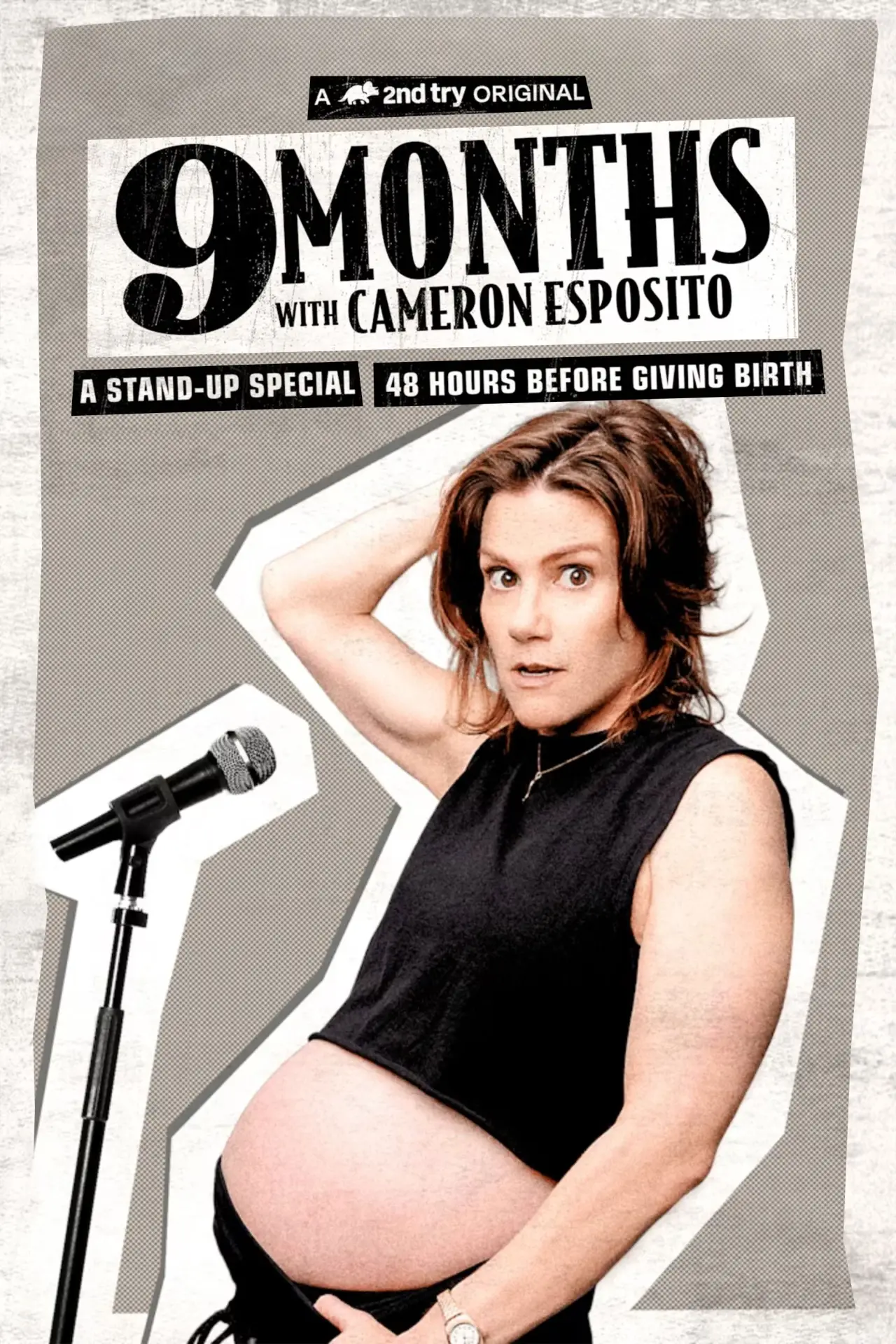 Постер до фільму "Cameron Esposito: Nine Months"