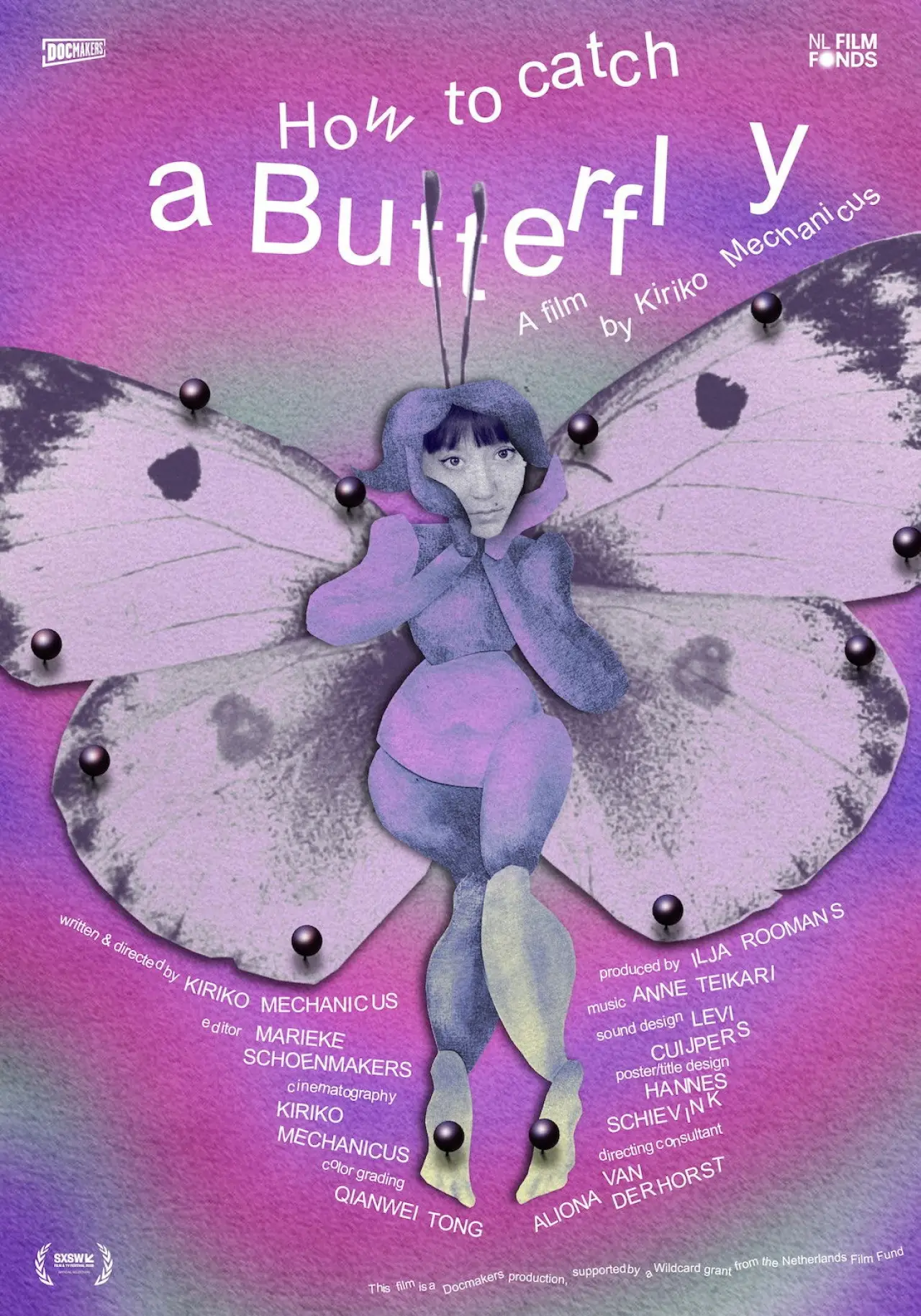 Постер до фільму "How to Catch a Butterfly"