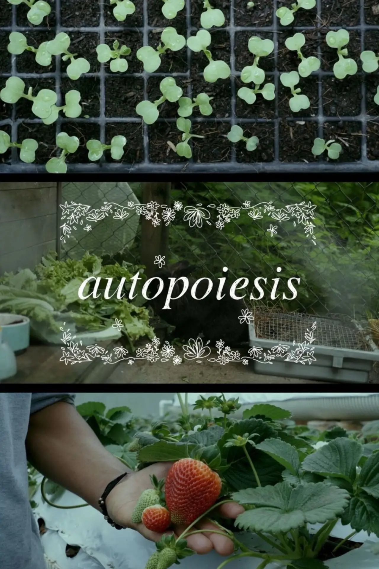 Постер до фільму "Autopoiesis"
