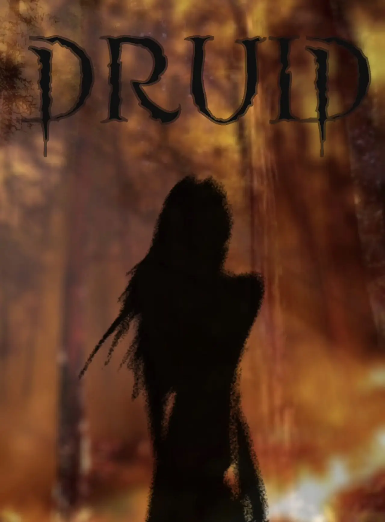 Постер до фільму "DRUID"