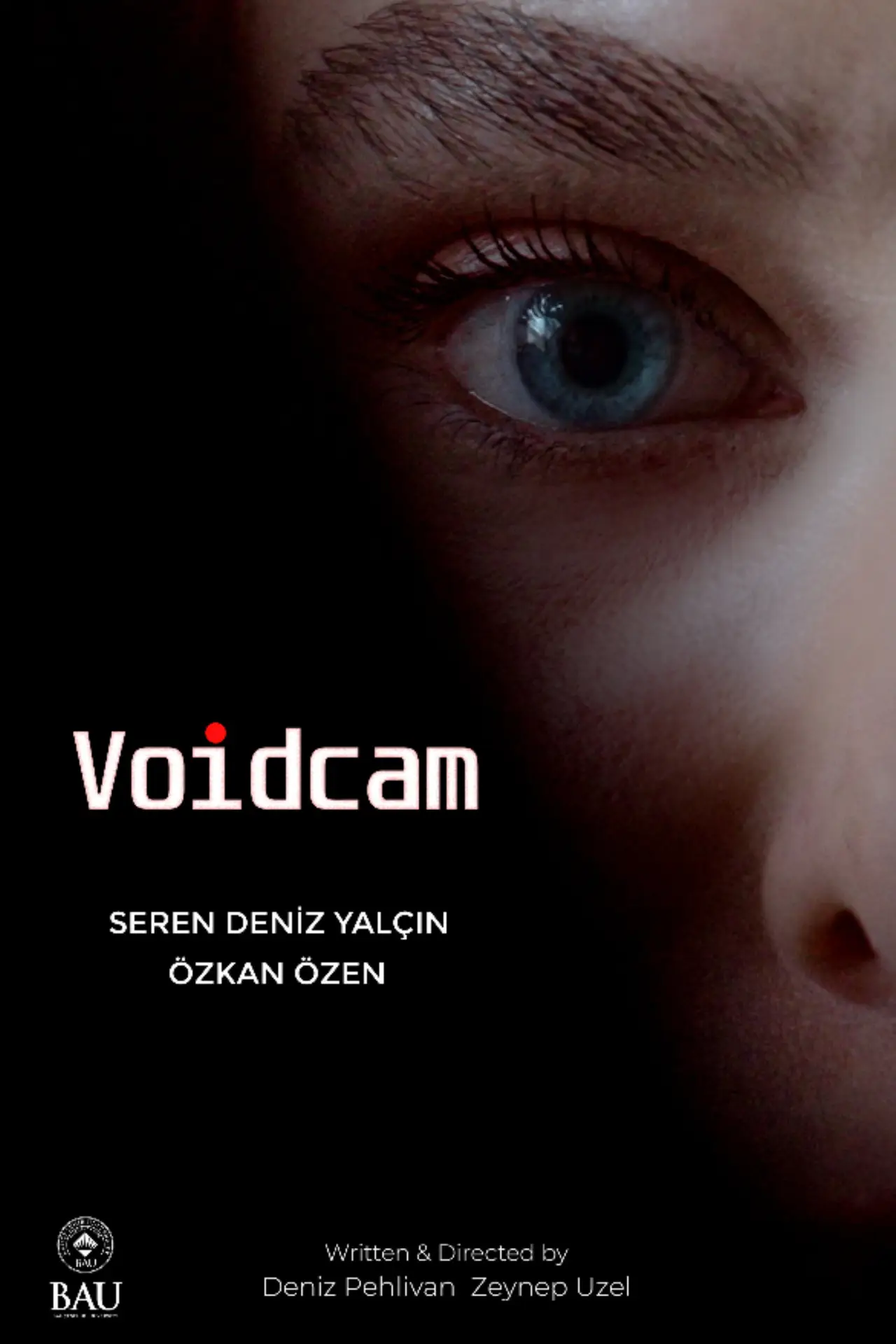 Постер до фільму "Voidcam"