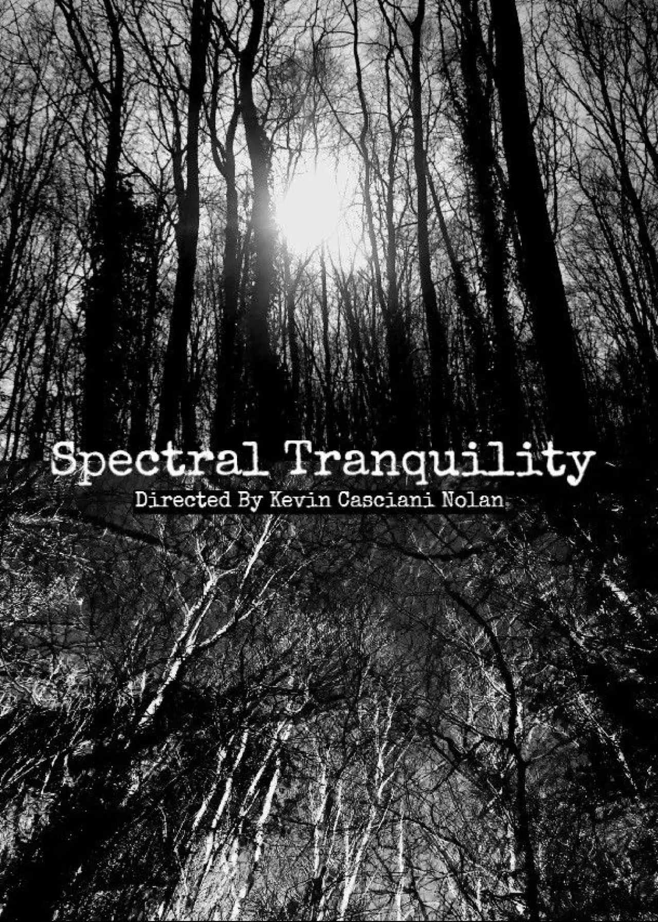 Постер до фільму "Spectral Tranquility"