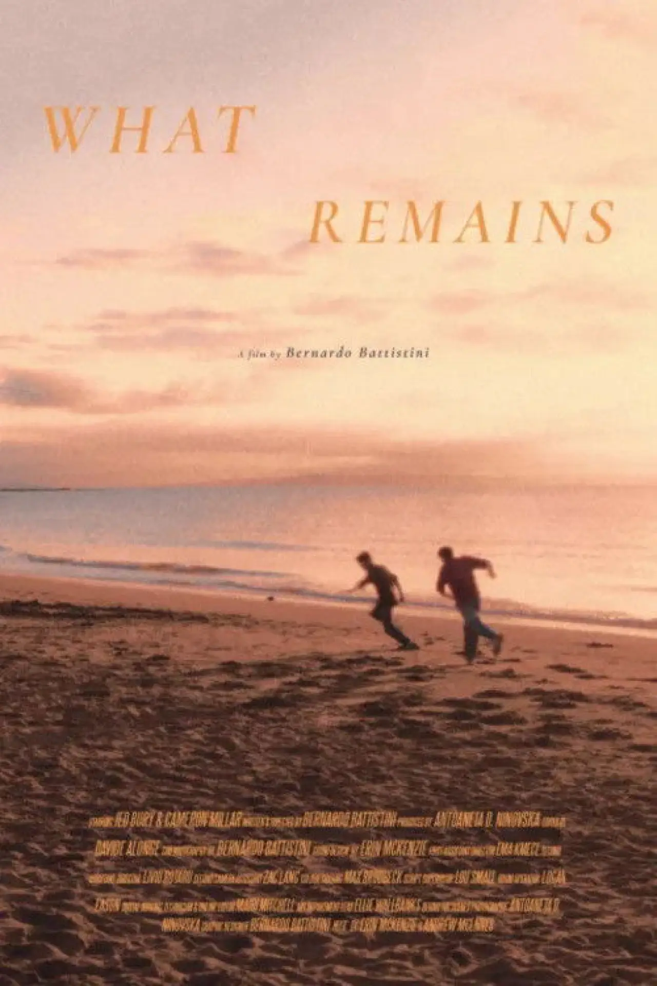 Постер до фільму "What Remains"