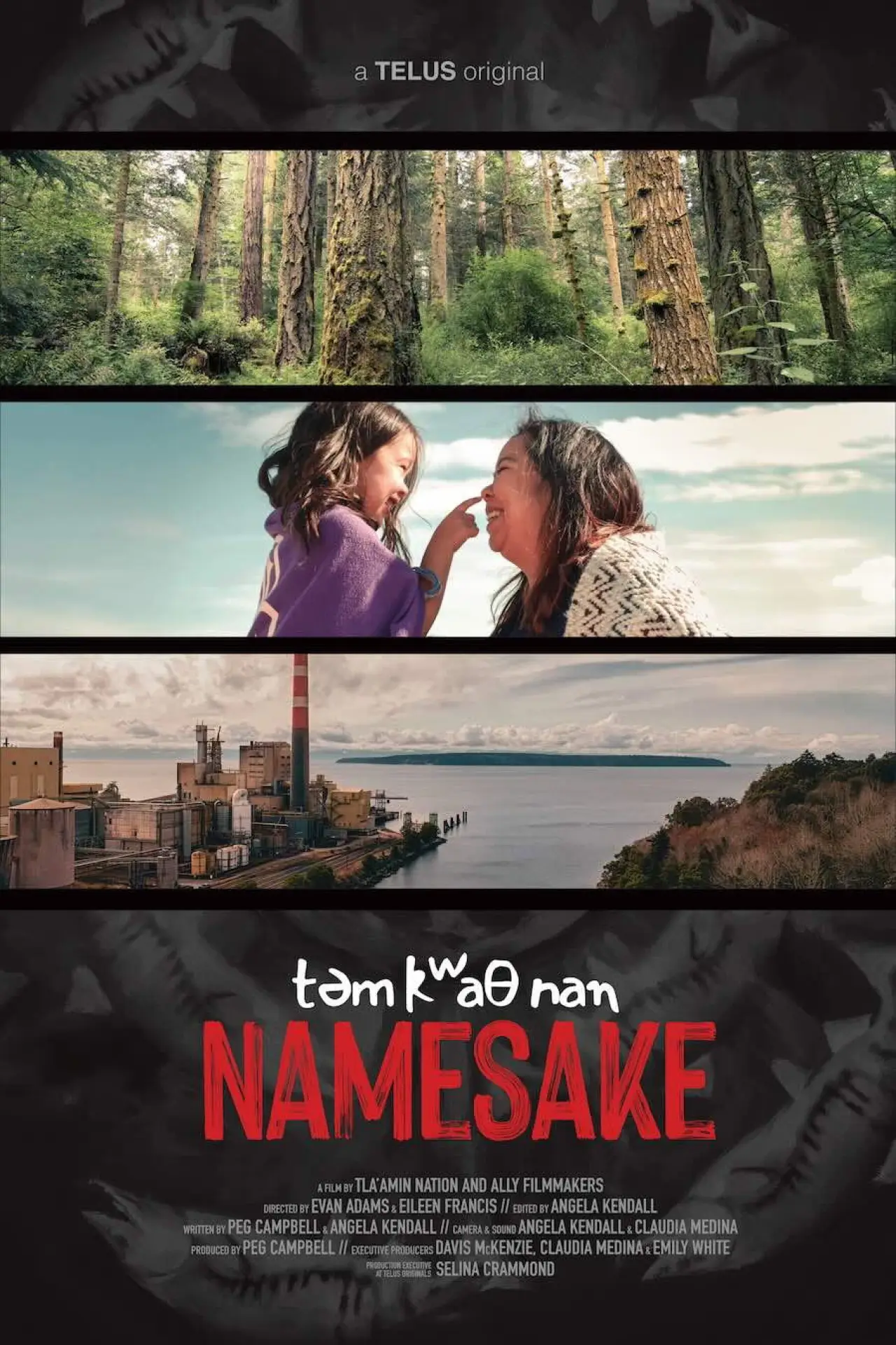 Постер до фільму "təm kʷaθ nan Namesake"